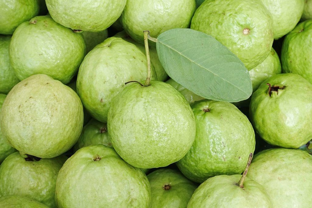 HỢP TÁC XÃ DỊCH VỤ NÔNG NGHIỆP 19/5 HUYỆN NGHĨA ĐÀN, NGHỆ AN