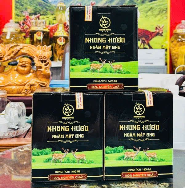 CÔNG TY CỔ PHẦN THƯƠNG MẠI & DỊCH VỤ NHUNG HƯƠU VIỆT