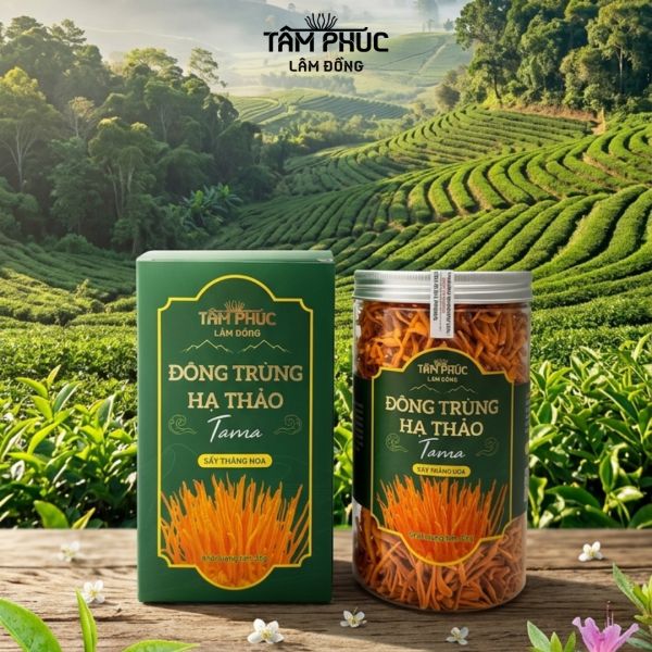 CÔNG TY TNHH NẤM TÂM PHÚC LÂM ĐỒNG