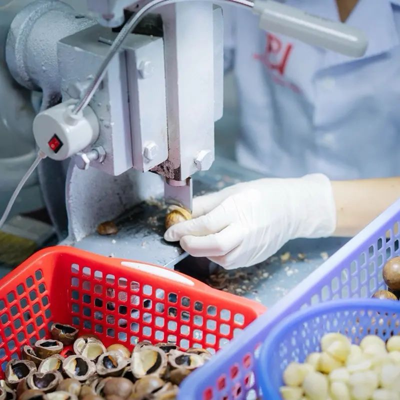 CÔNG TY TNHH THƯƠNG MẠI VÀ DỊCH VỤ BẢO NGỌC