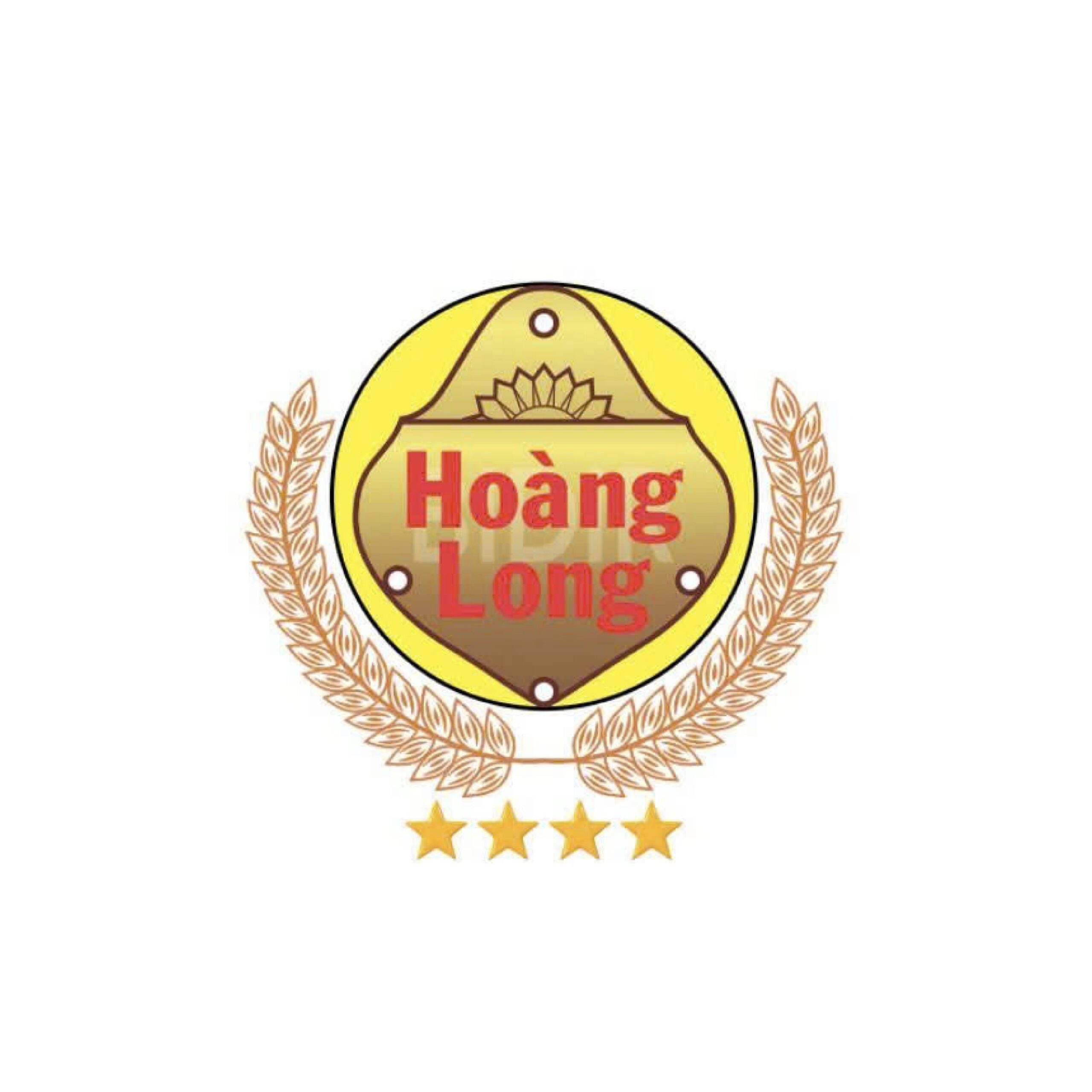 BIDIR Hoàng Long
