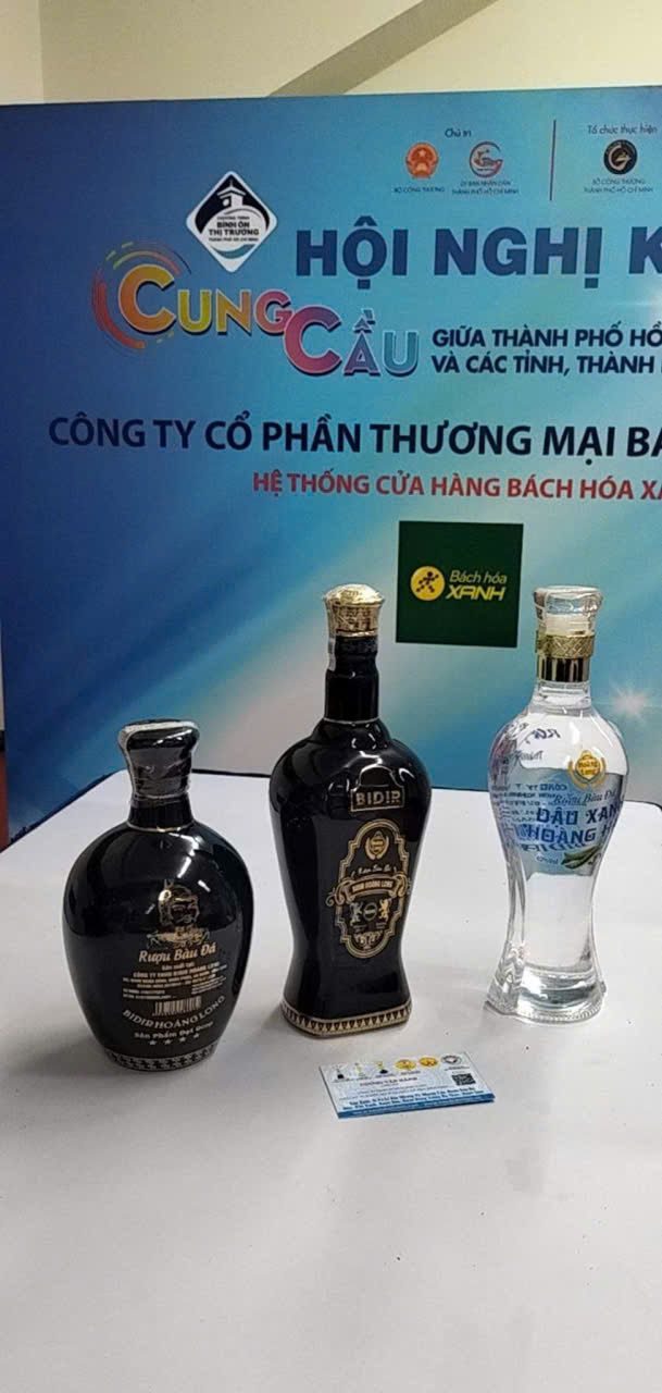 BIDIR Hoàng Long