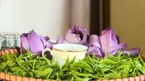 Chè Đinh Hoài Trung