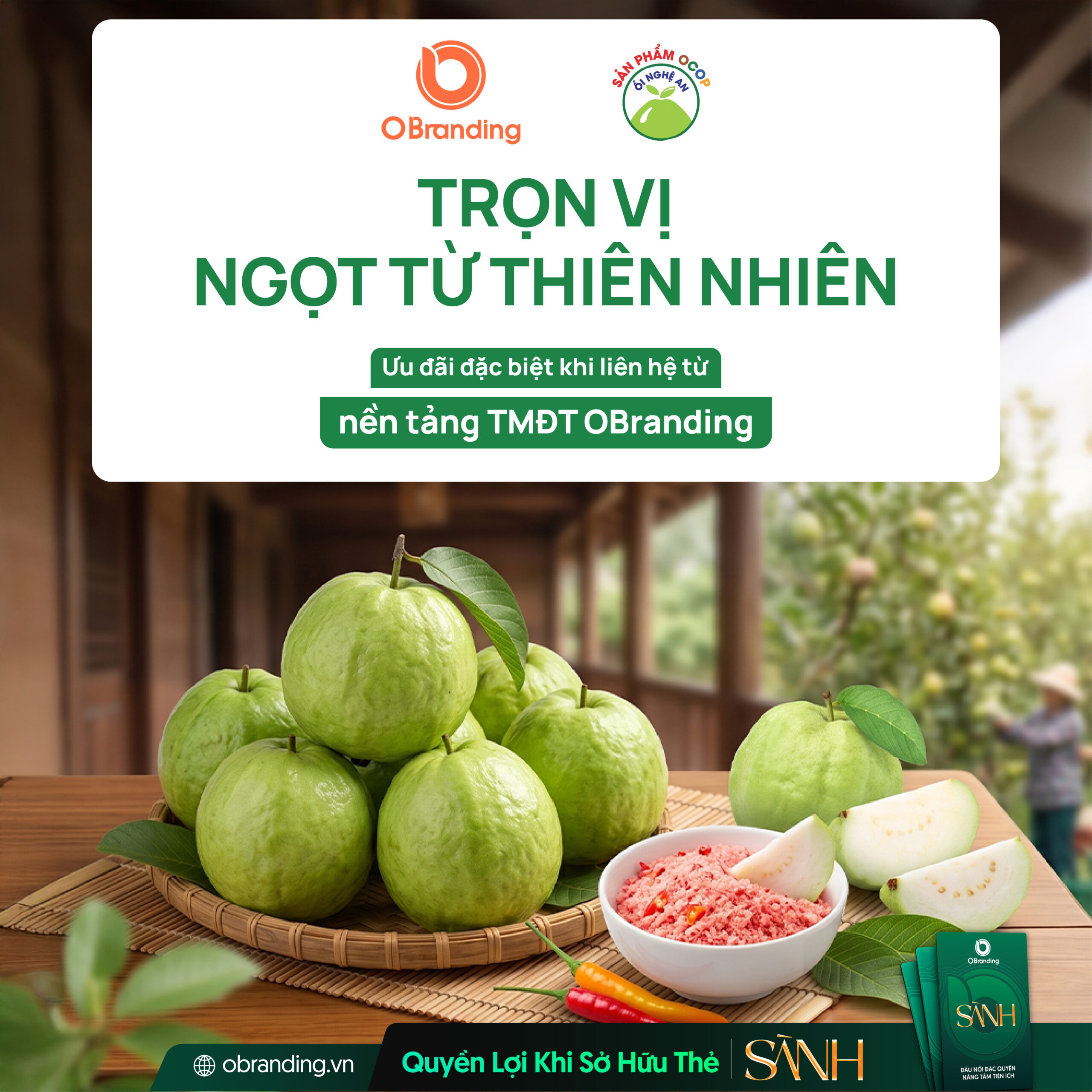 HỢP TÁC XÃ DỊCH VỤ NÔNG NGHIỆP 19/5 HUYỆN NGHĨA ĐÀN, NGHỆ AN