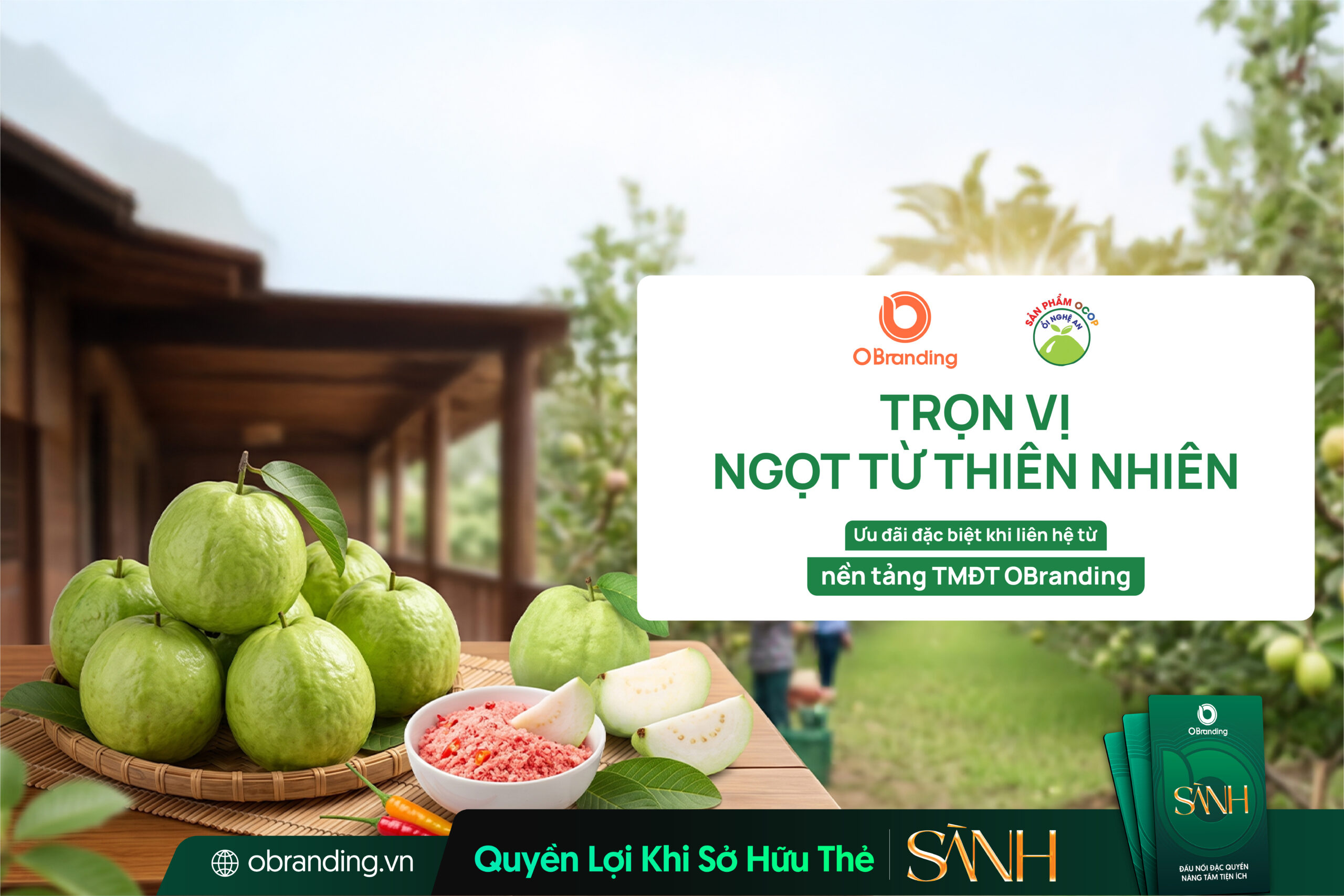 HỢP TÁC XÃ DỊCH VỤ NÔNG NGHIỆP 19/5 HUYỆN NGHĨA ĐÀN, NGHỆ AN