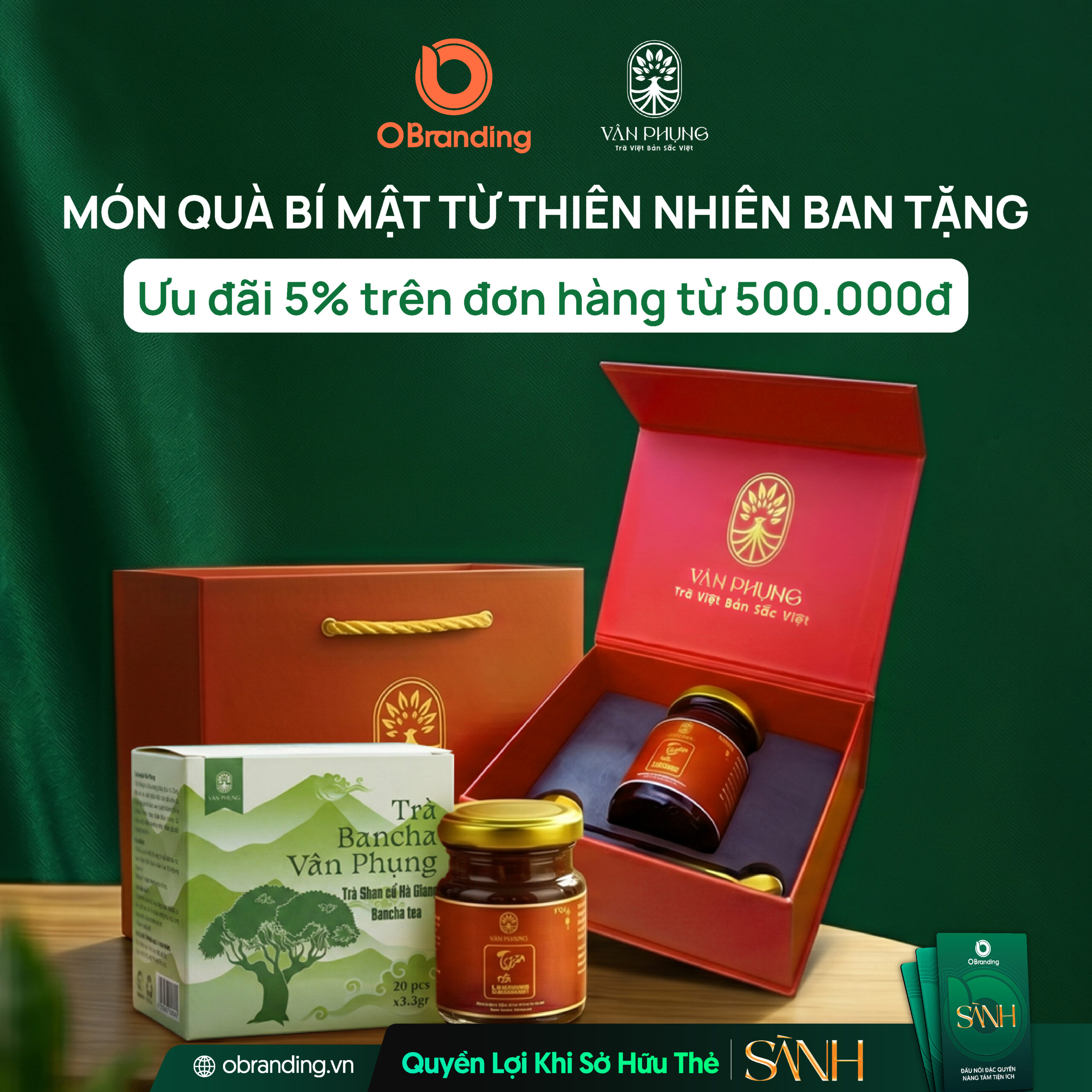 HTX SẢN XUẤT NÔNG SẢN LÂM ANH TÚ (BANCHA VÂN PHỤNG)