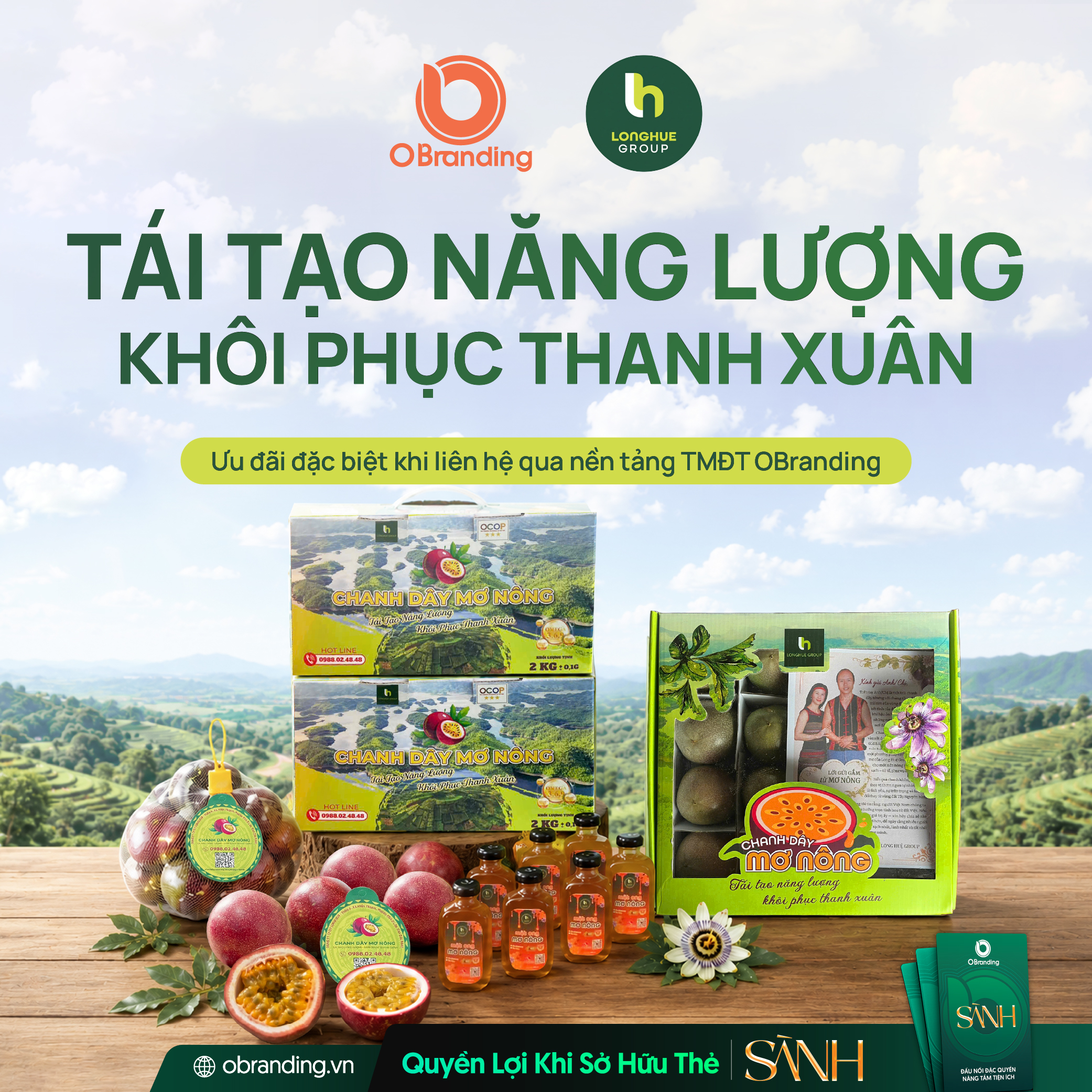 CHANH DÂY MƠ NÔNG