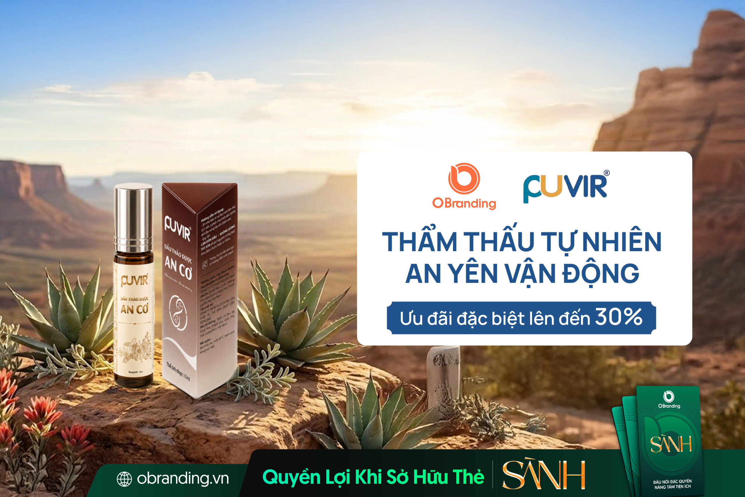 P&U Việt Nam - Dầu thảo dược An Cơ
