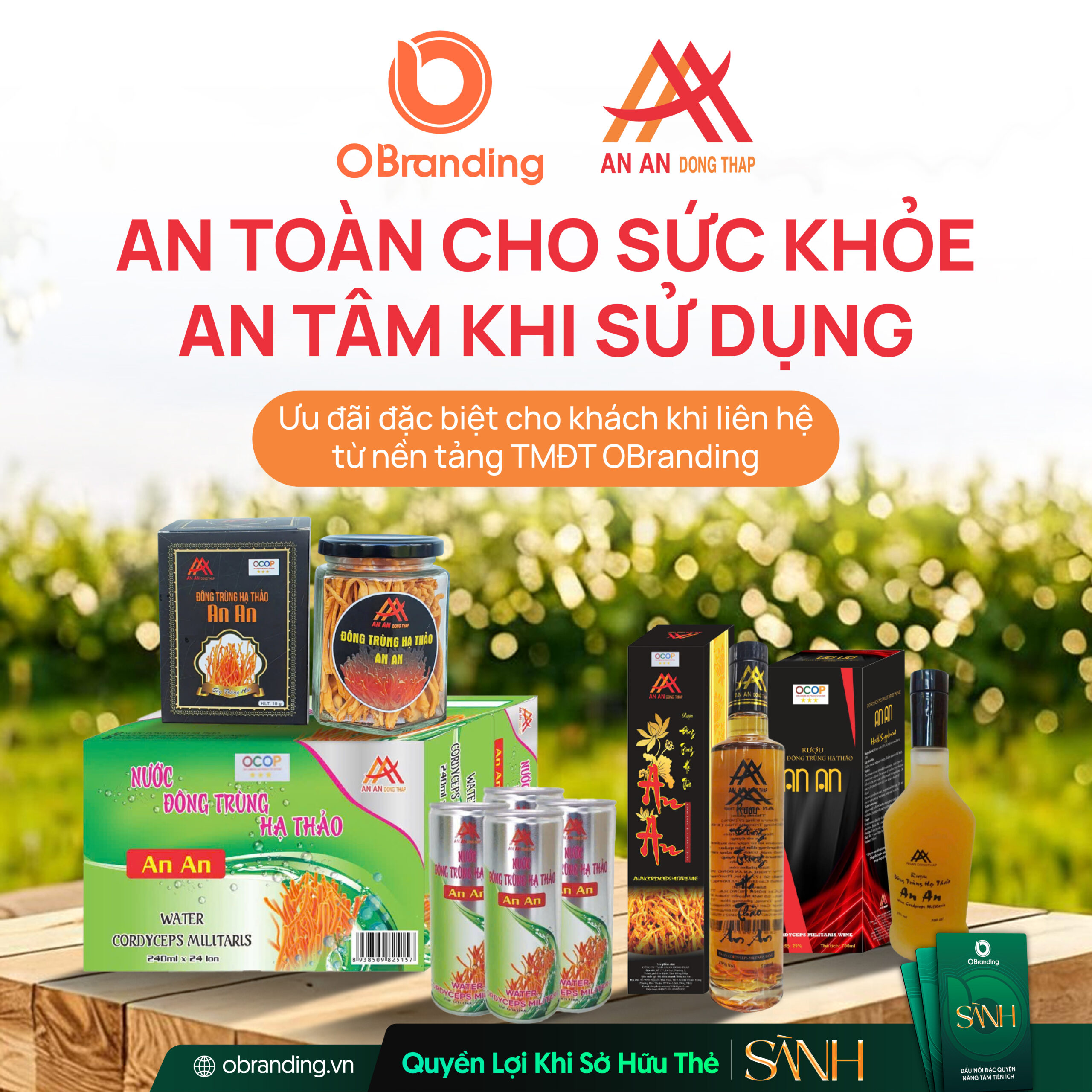 CÔNG TY TNHH AN AN ĐỒNG THÁP