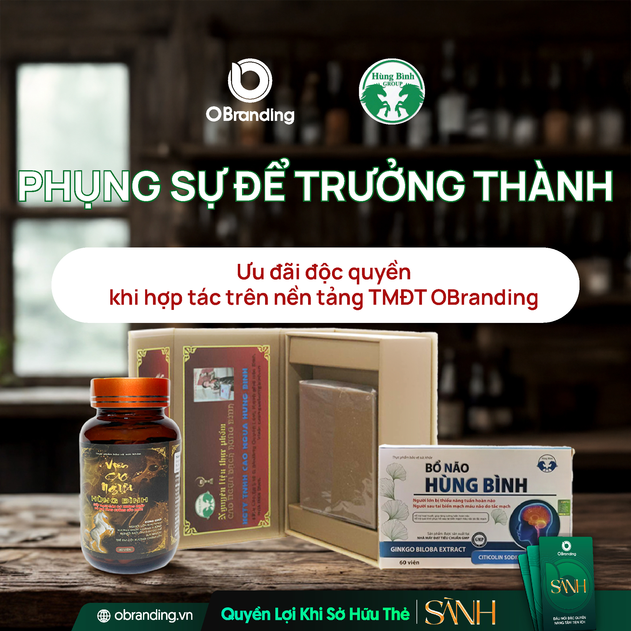 CÔNG TY TNHH CAO NGỰA HÙNG BÌNH