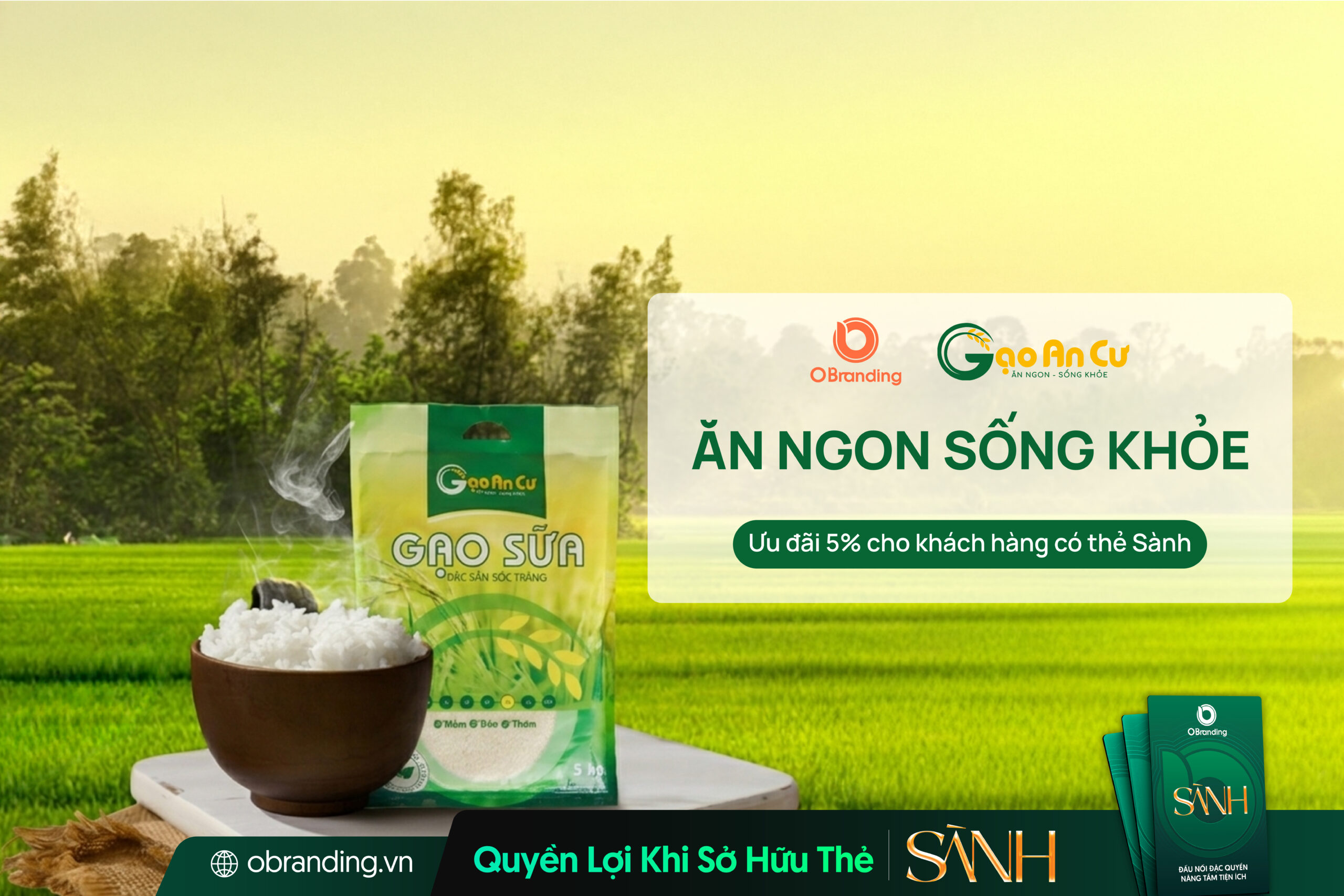 Lúa Gạo An Cư