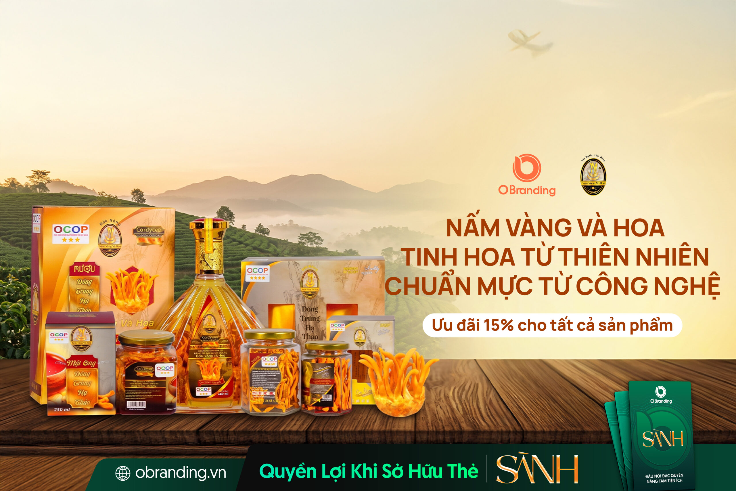 CÔNG TY TNHH MỘT THÀNH VIÊN PHÁT TRIỂN NÔNG NGHIỆP CÔNG NGHỆ CAO NẤM VÀNG VÀ HOA