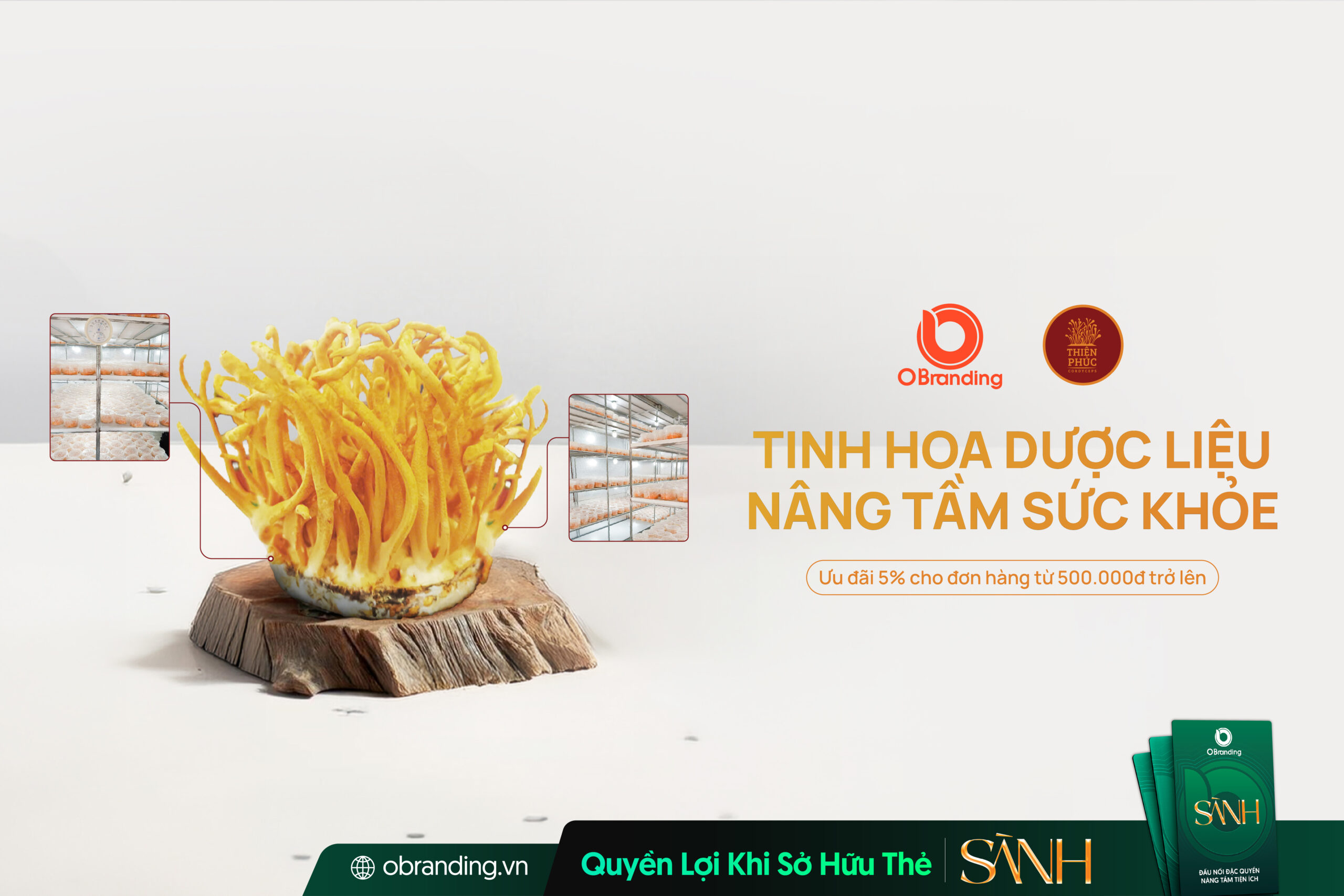 Nấm Dược liệu Thiện Phúc