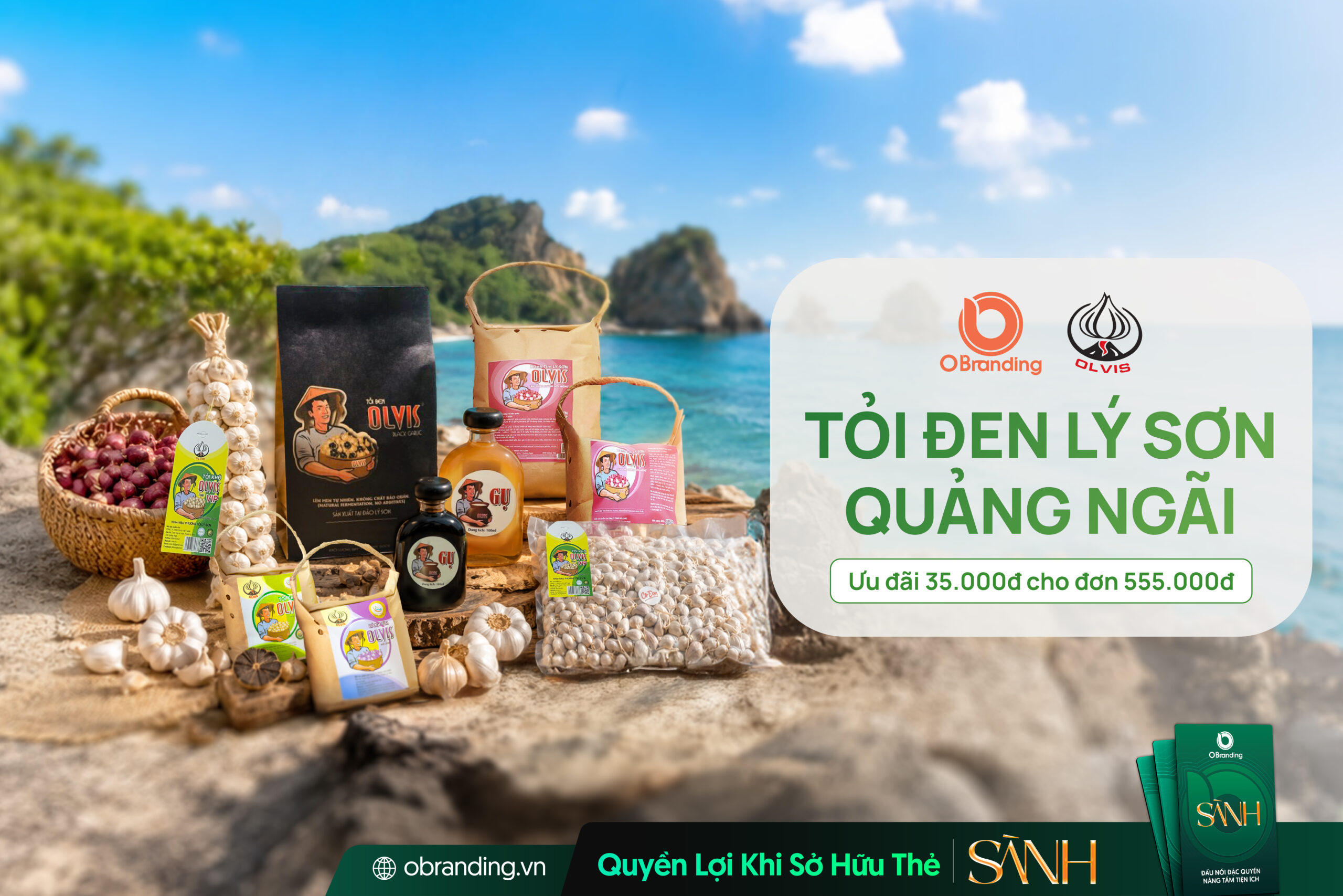 OLVIS - Tỏi Lý Sơn chính gốc