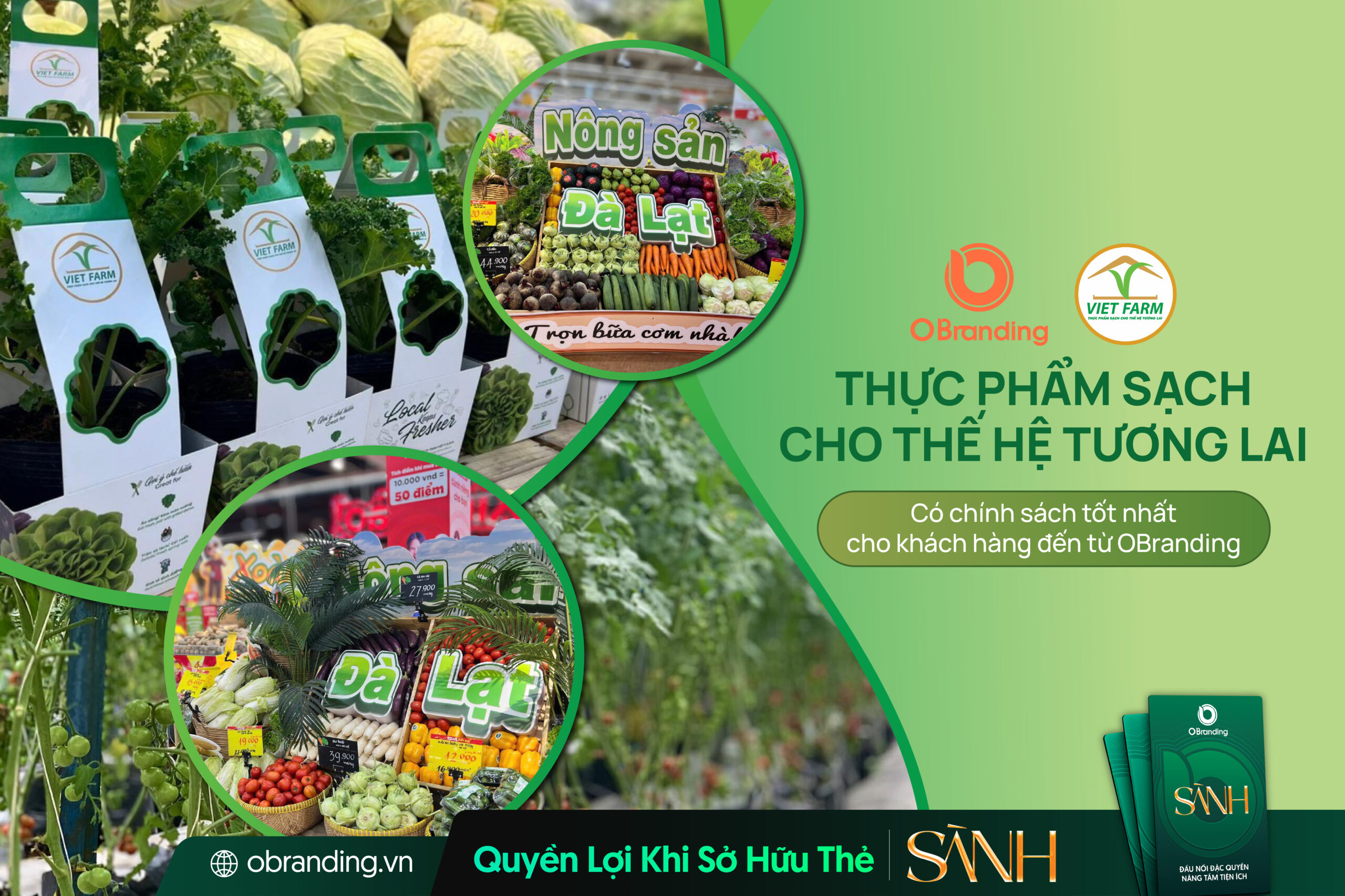CÔNG TY TNHH VIỆT F.A.R.M