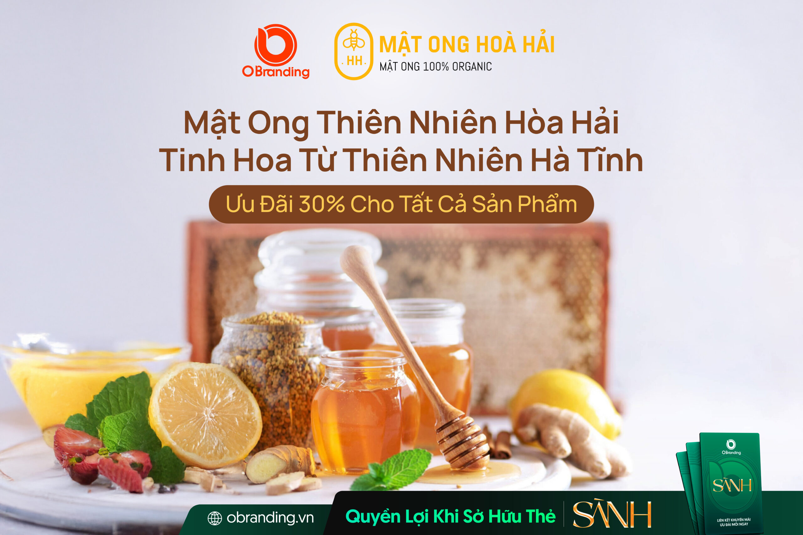 Mật Ong Hòa Hải - Mật ong thiên nhiên Hà Tĩnh