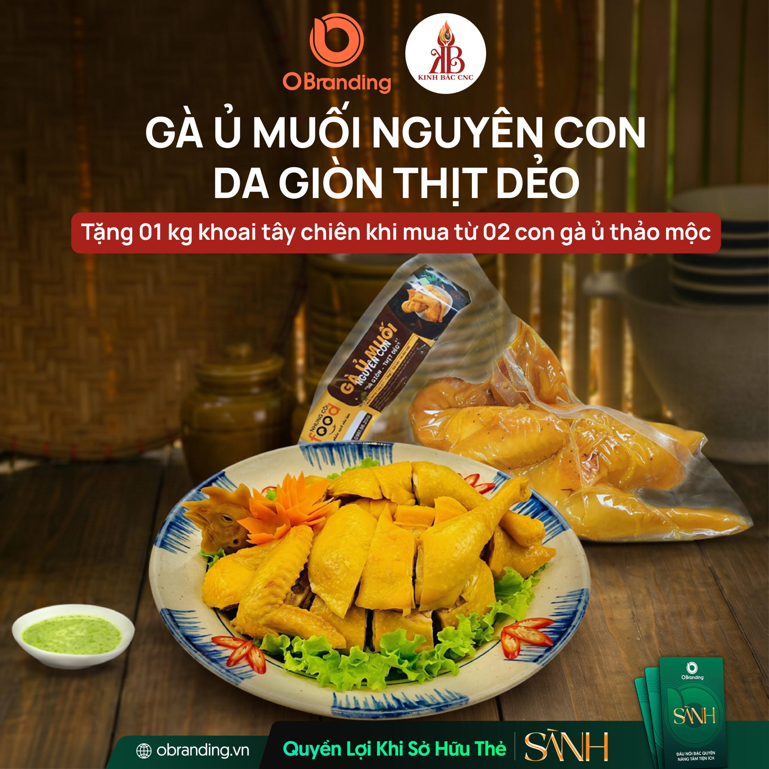 GÀ Ủ THẢO MỘC NHUNG CÒI