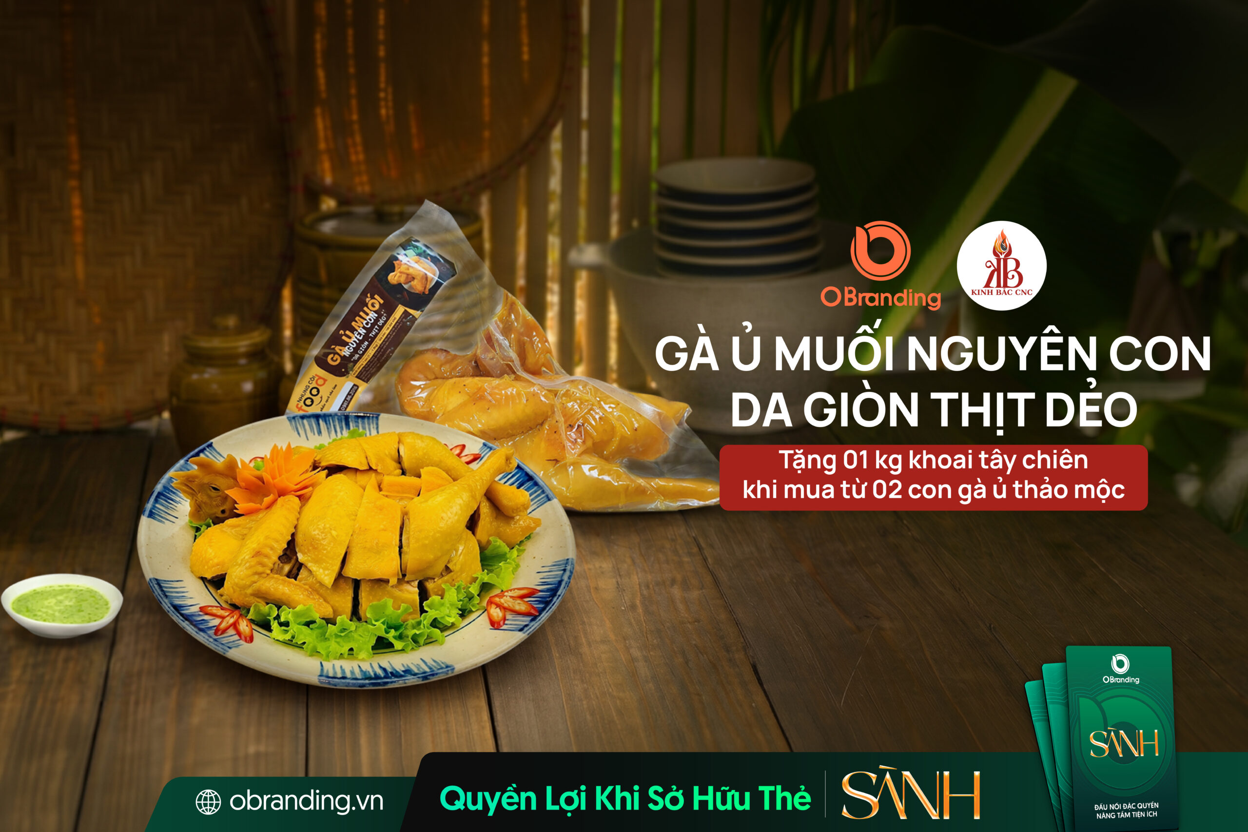 GÀ Ủ THẢO MỘC NHUNG CÒI