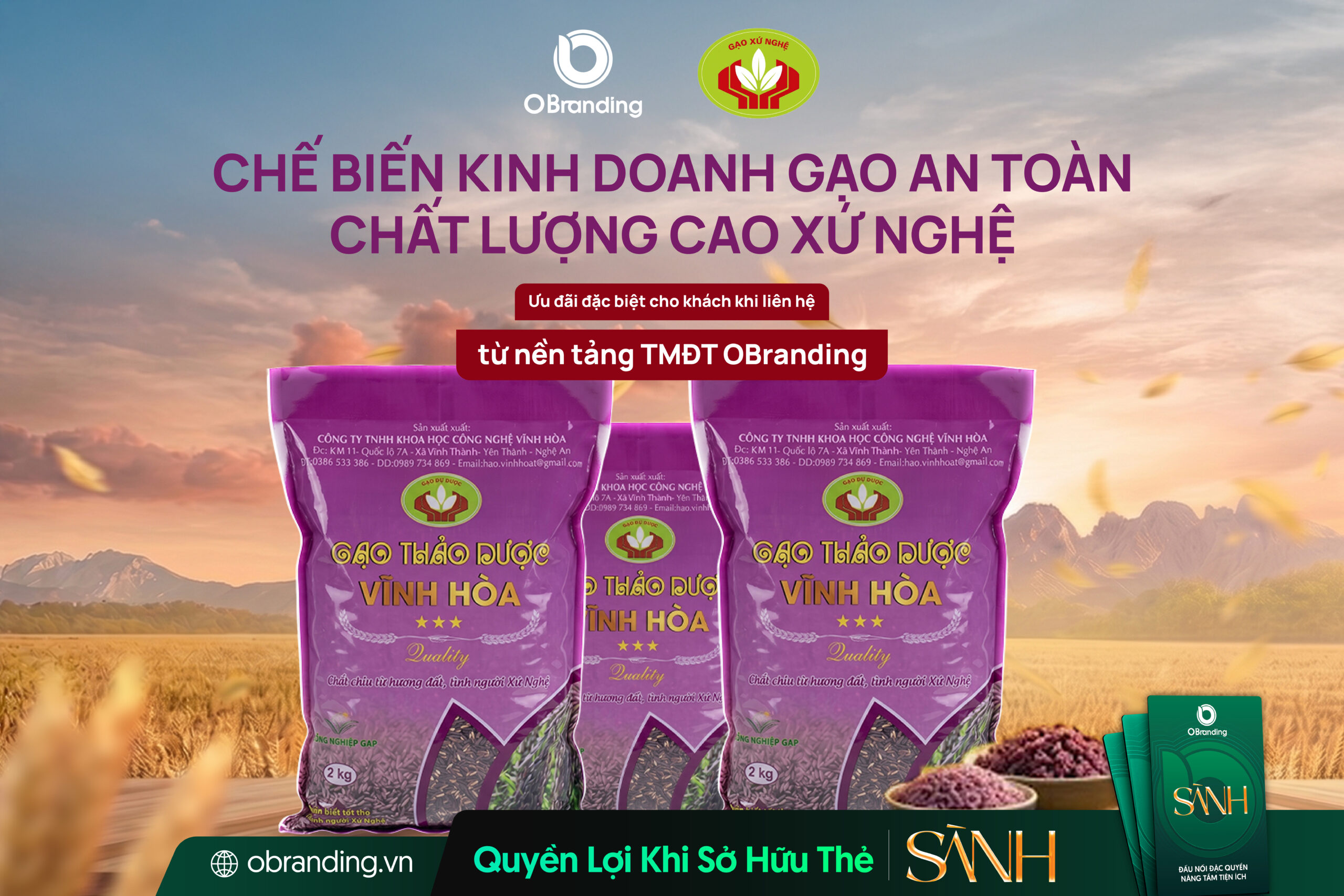 GẠO THẢO DƯỢC VĨNH HÒA