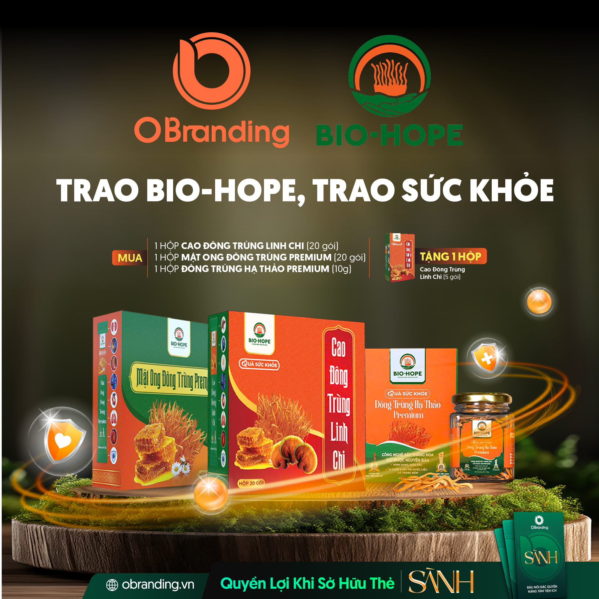 CÔNG TY CỔ PHẦN ĐÔNG TRÙNG HẠ THẢO BIO HOPE ( ĐÔNG TRÙNG HẠ THẢO BIO- HOPE)