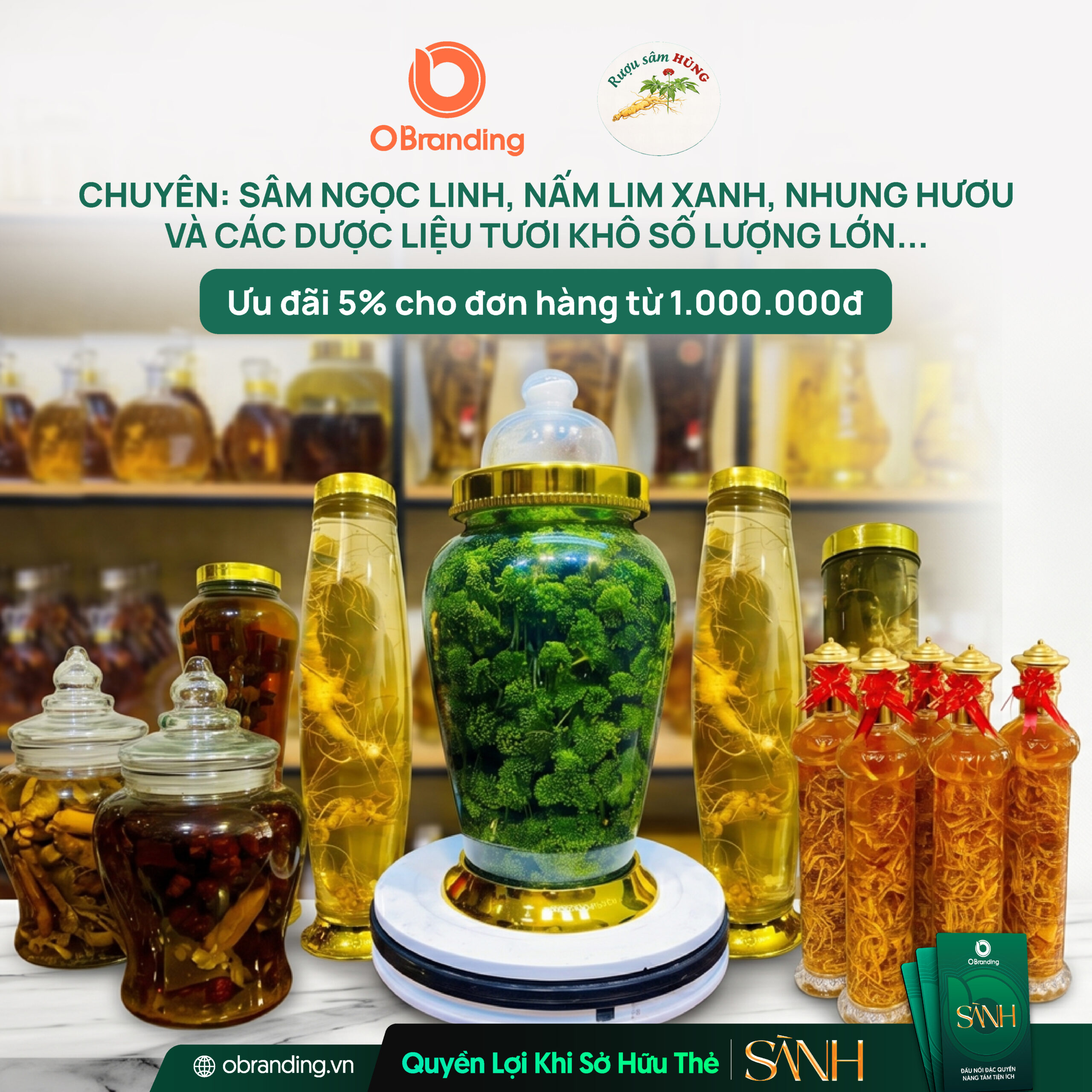 HỘ KINH DOANH HÙNG ĐỒ NGÂM RƯỢU