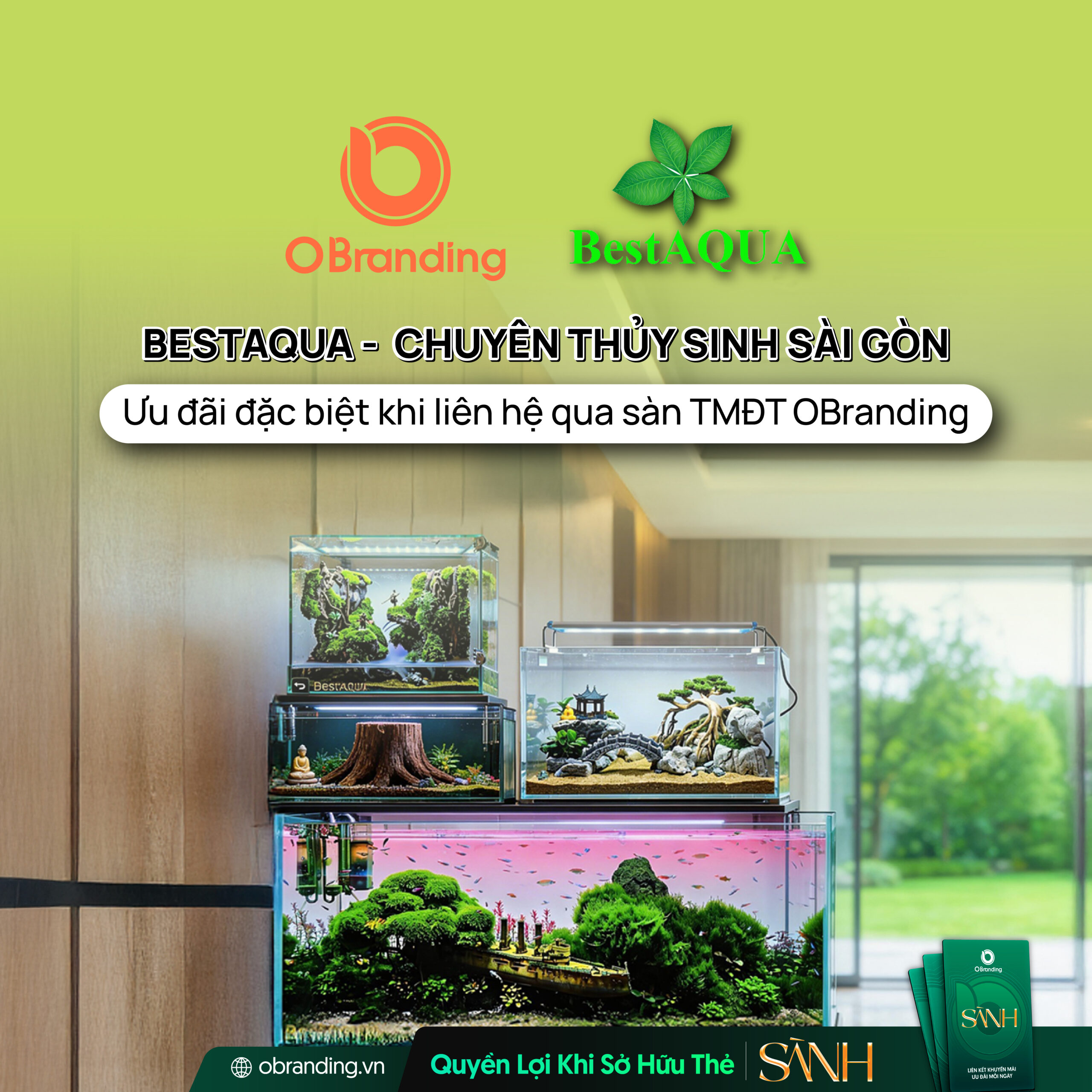 BESTAQUA - CHUYÊN THỦY SINH SÀI GÒN