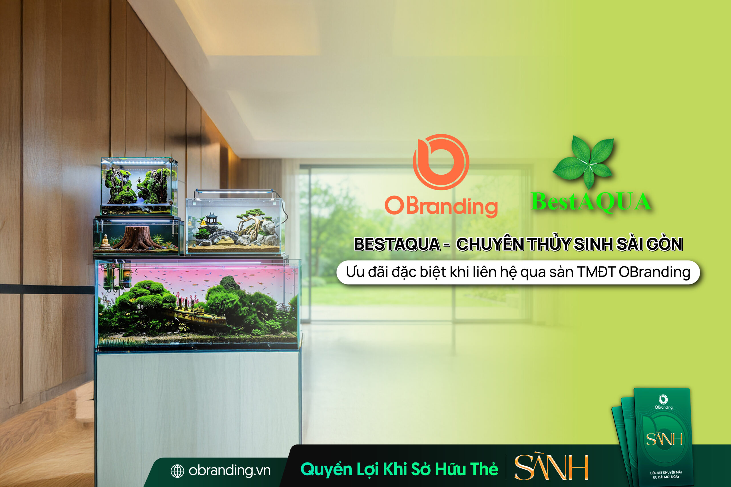 BESTAQUA - CHUYÊN THỦY SINH SÀI GÒN
