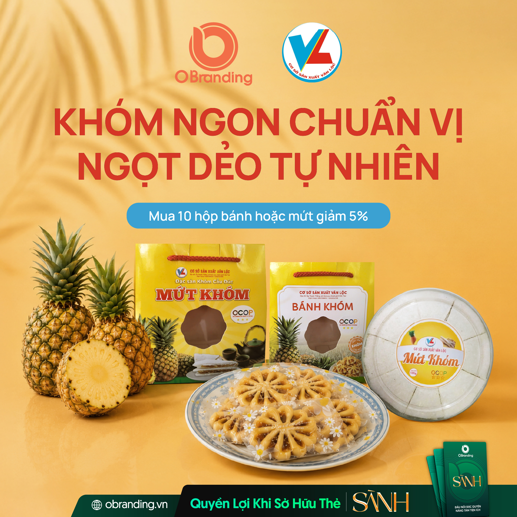 HỘ KINH DOANH CƠ SỞ SẢN XUẤT VÂN LỘC