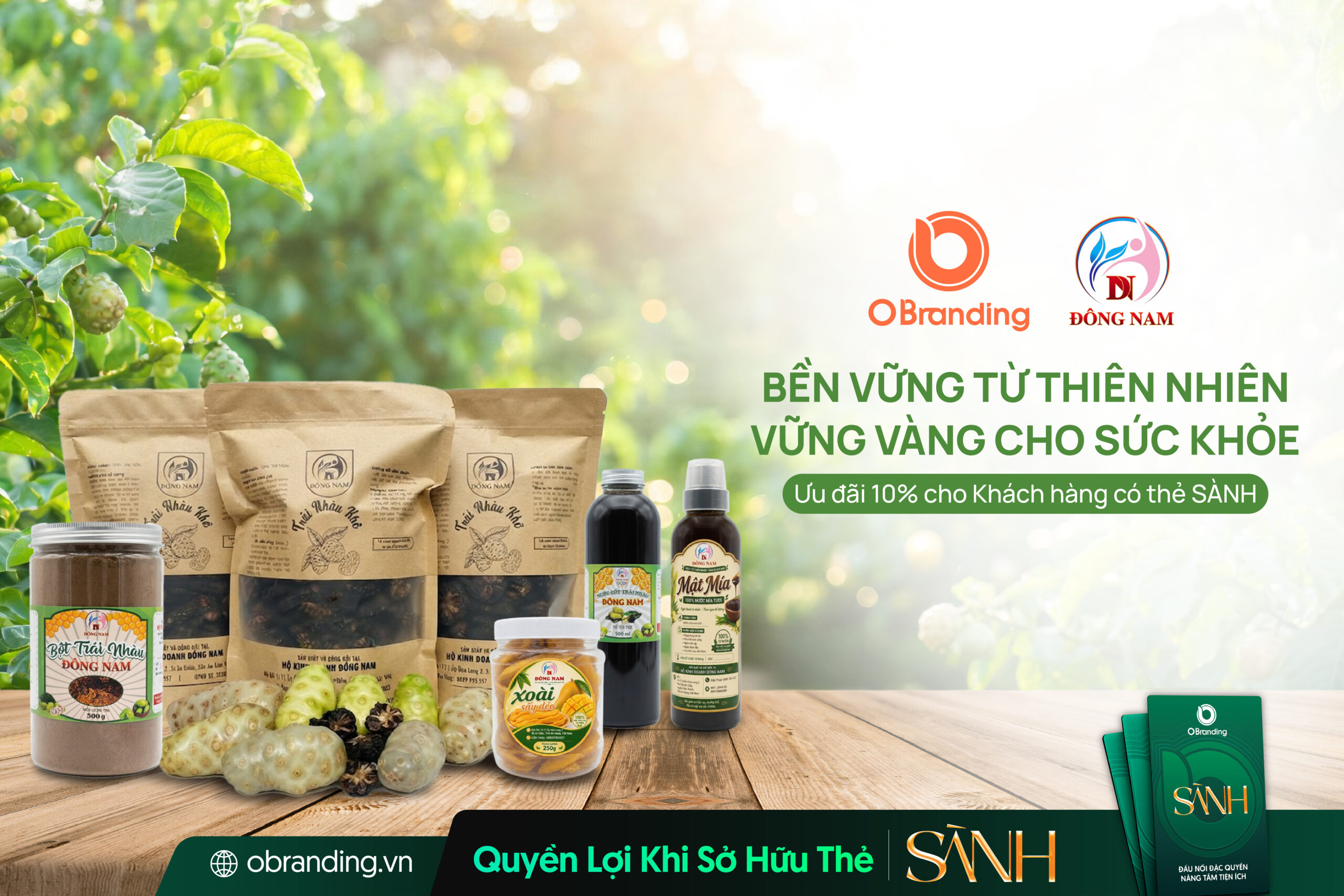 Hộ Kinh Doanh Đông Nam