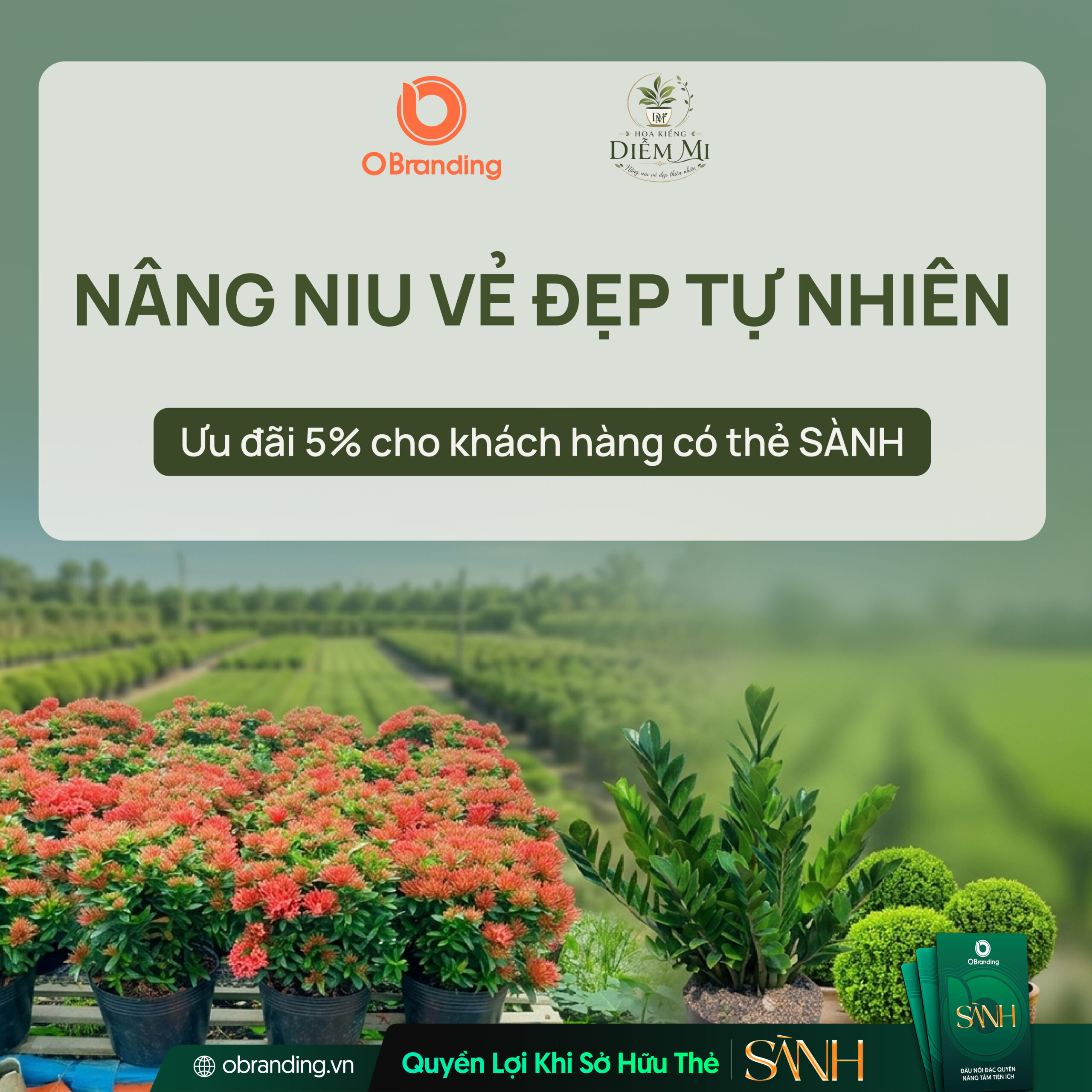 HỘ KINH DOANH HOA KIỂNG DIỄM MI