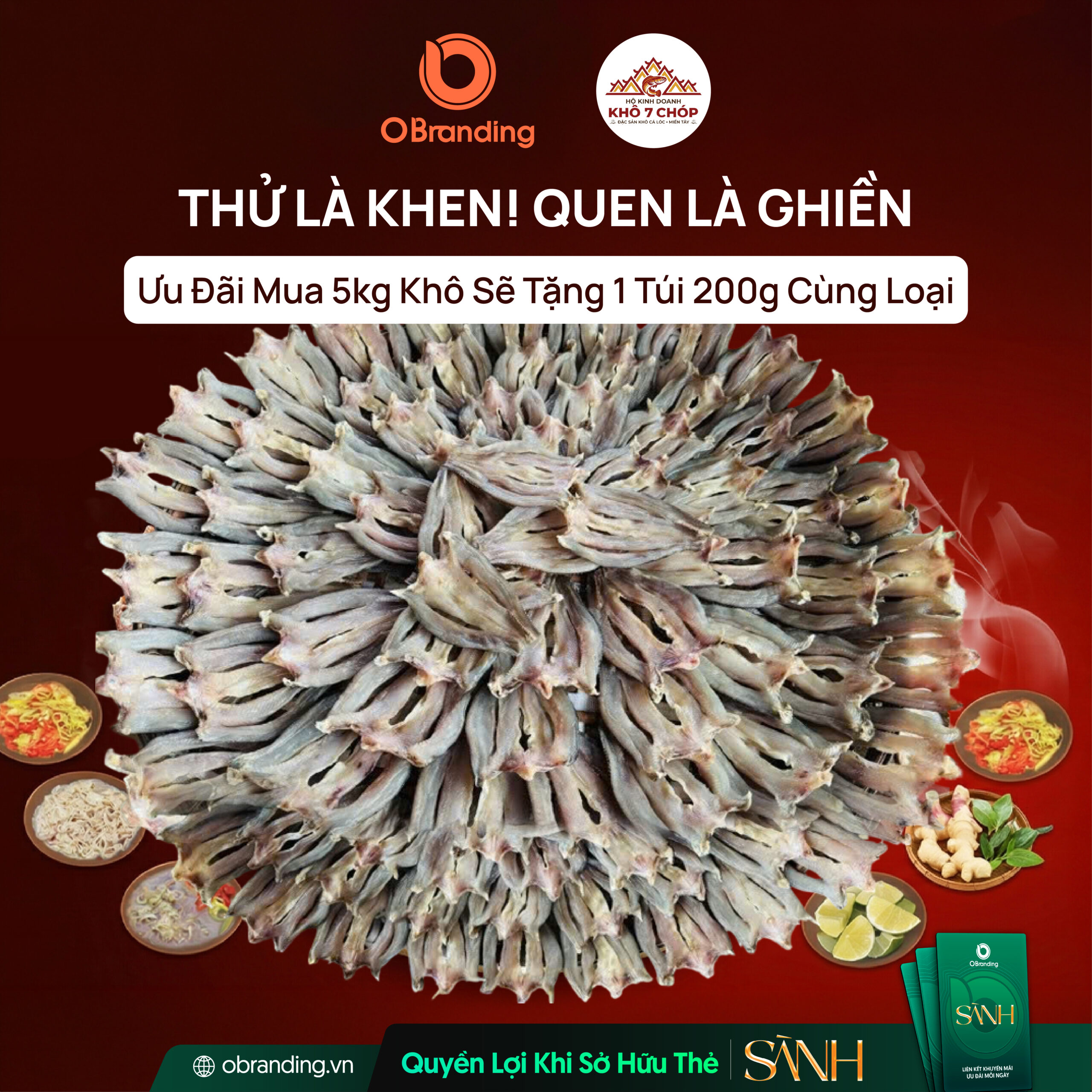 HỘ KINH DOANH KHÔ 7 CHÓP