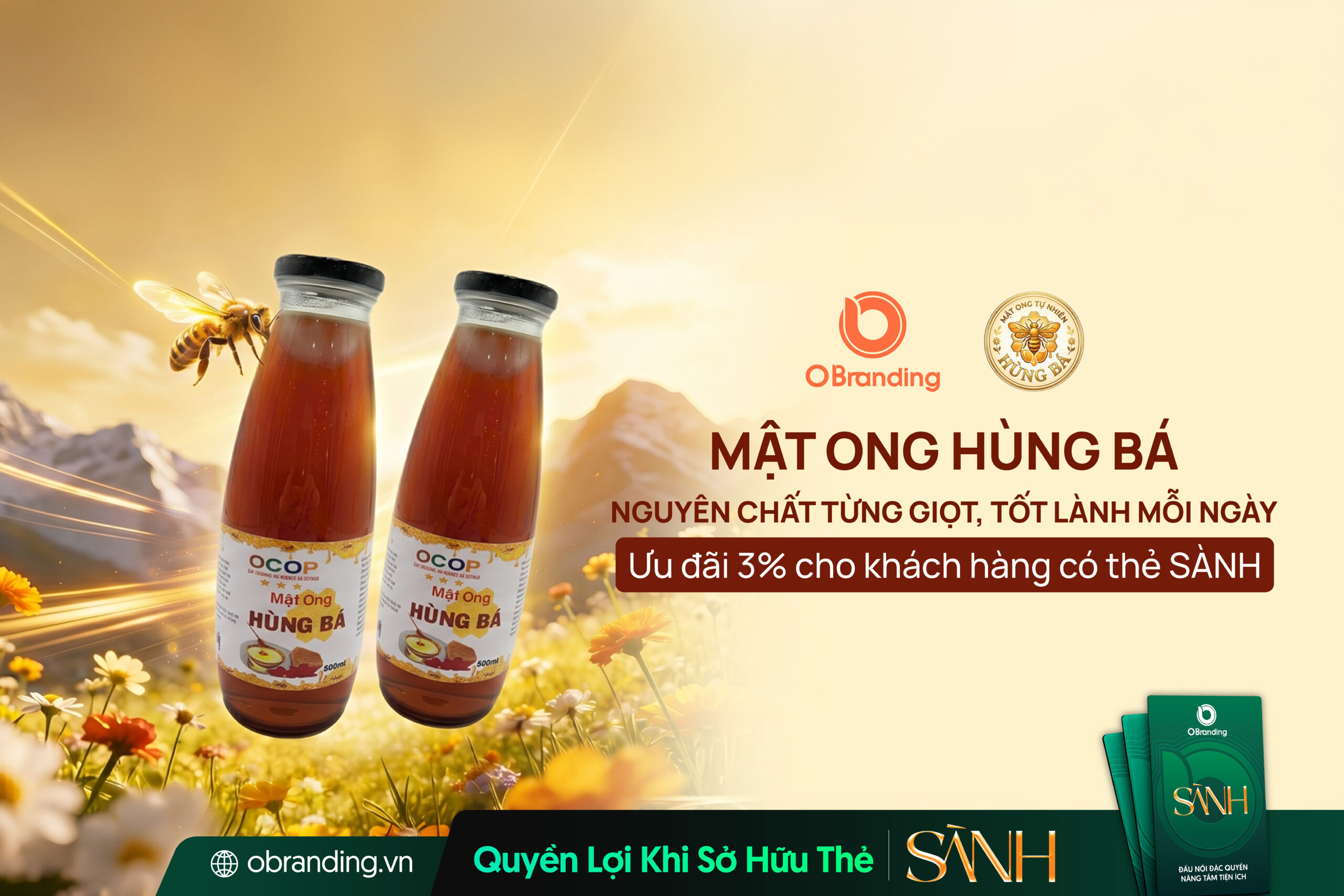 Mật Ong Hùng Bá - Mật ong nguyên chất