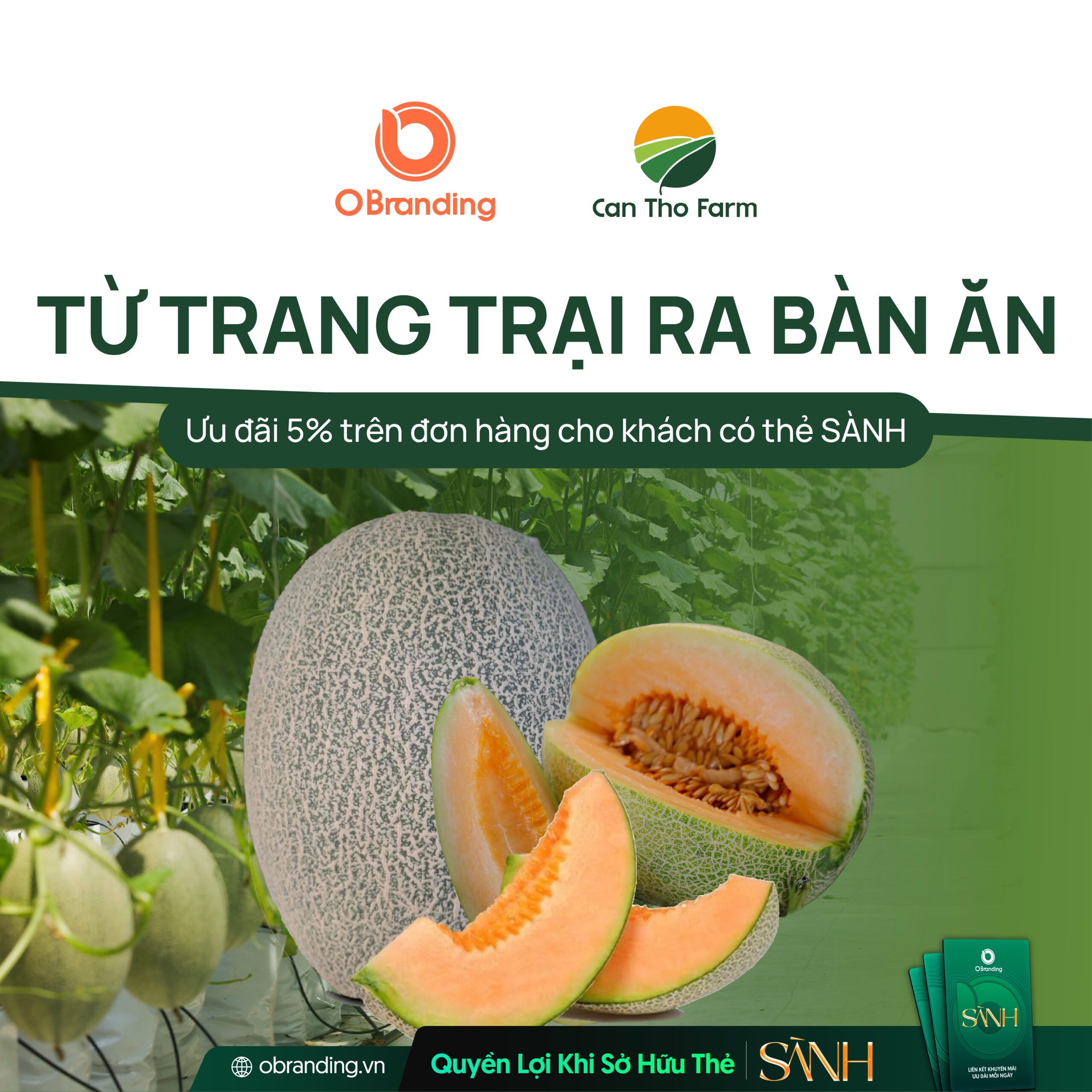 HỘ KINH DOANH NÔNG TRẠI SẠCH CẦN THƠ