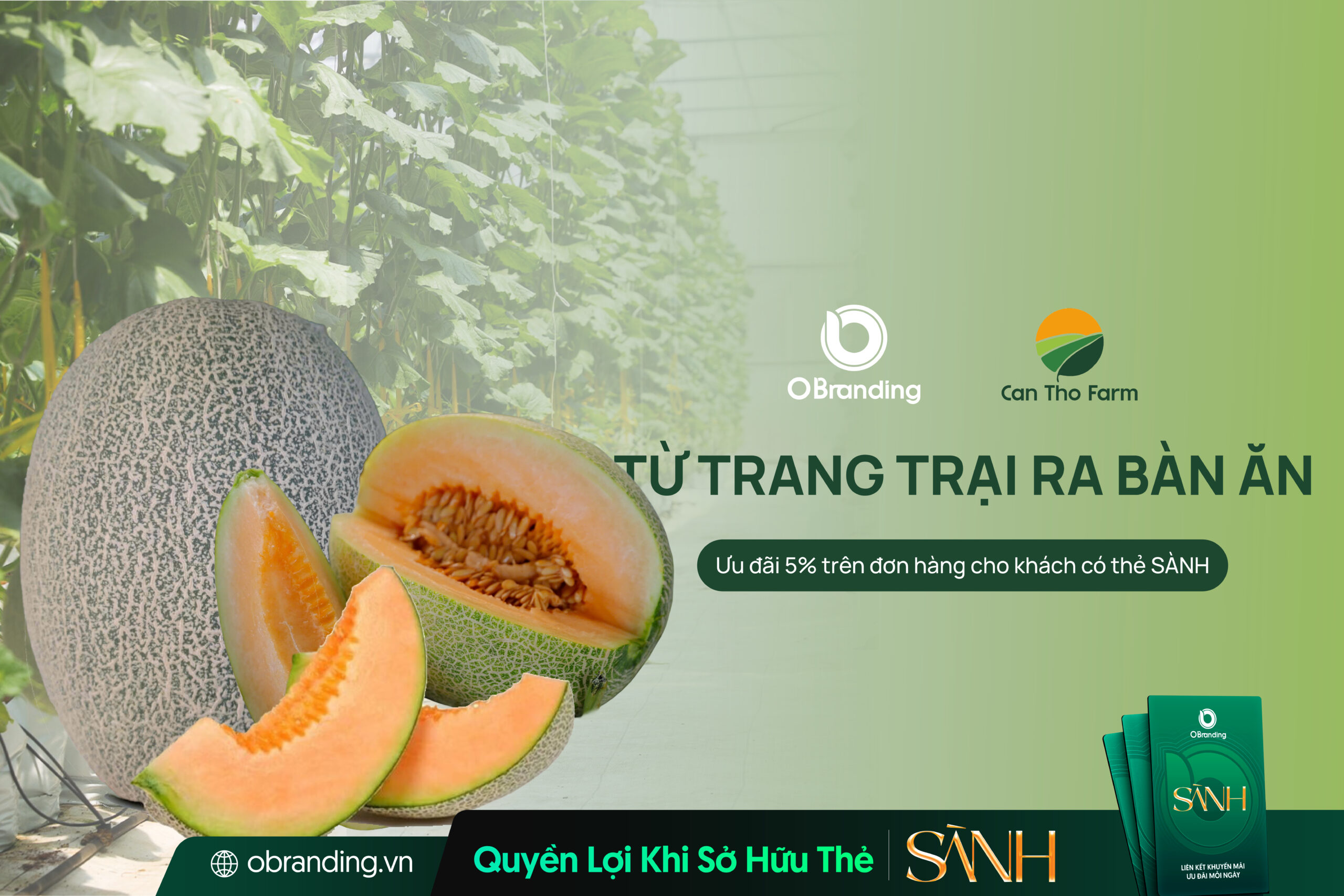 HỘ KINH DOANH NÔNG TRẠI SẠCH CẦN THƠ