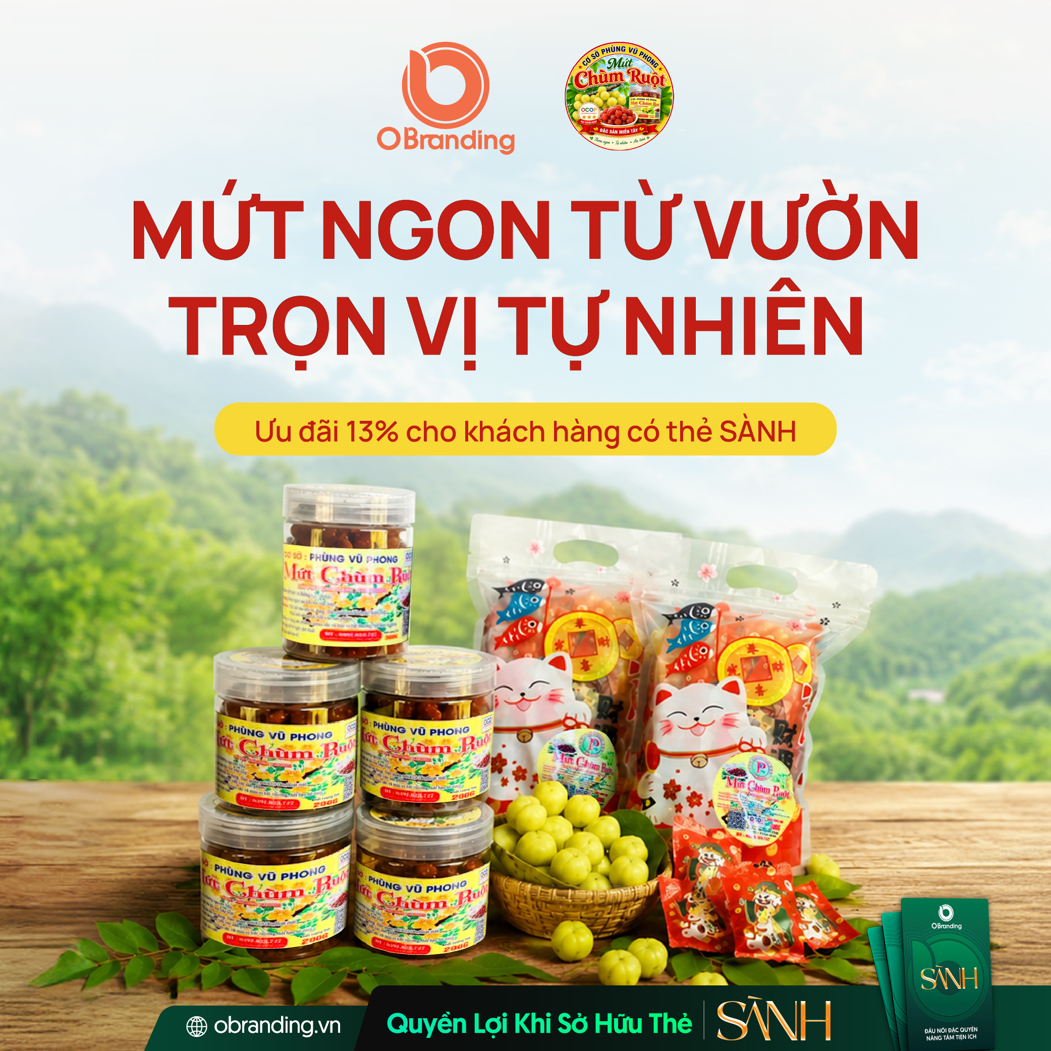 HỘ KINH DOANH PHÙNG VŨ PHONG