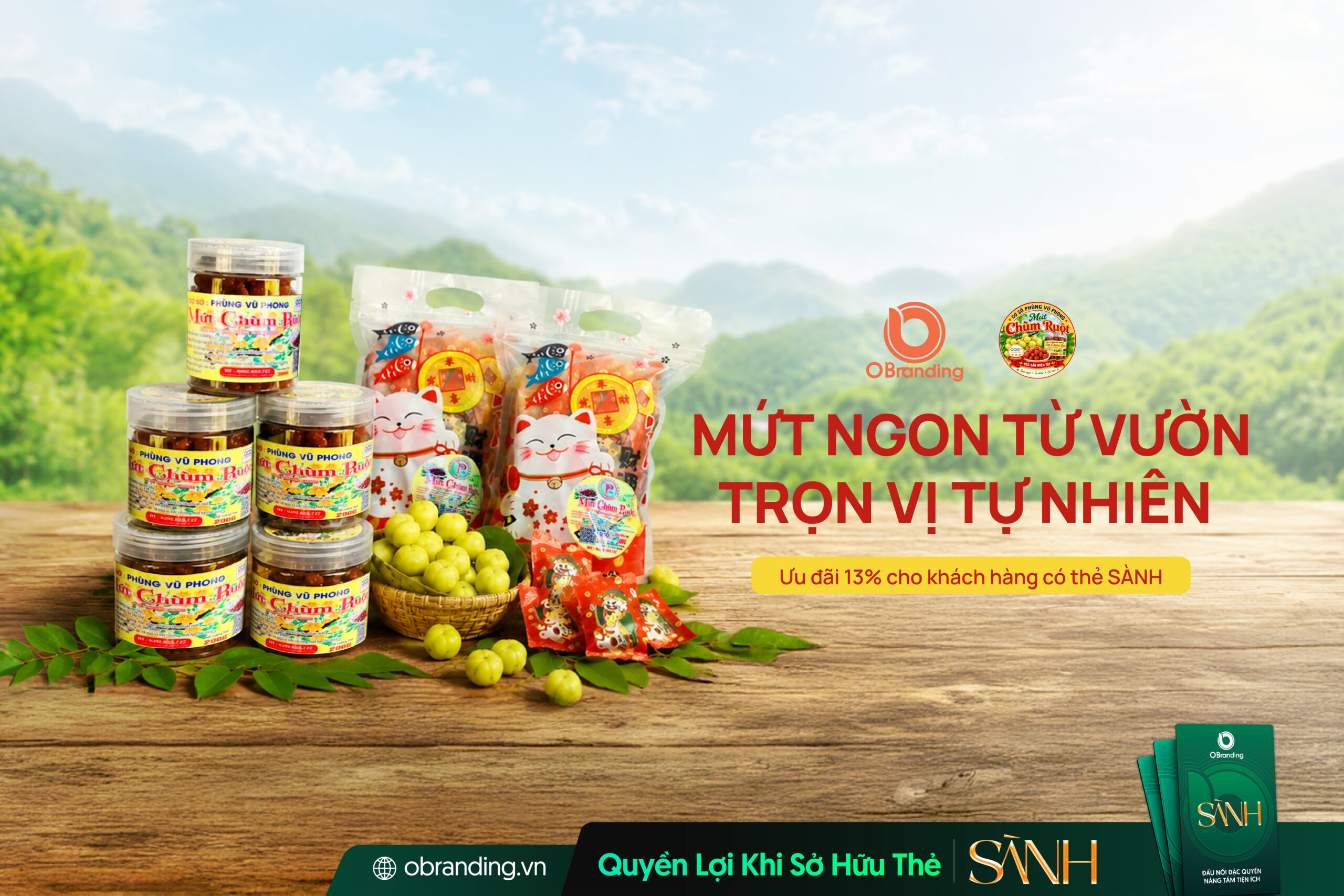 HỘ KINH DOANH PHÙNG VŨ PHONG