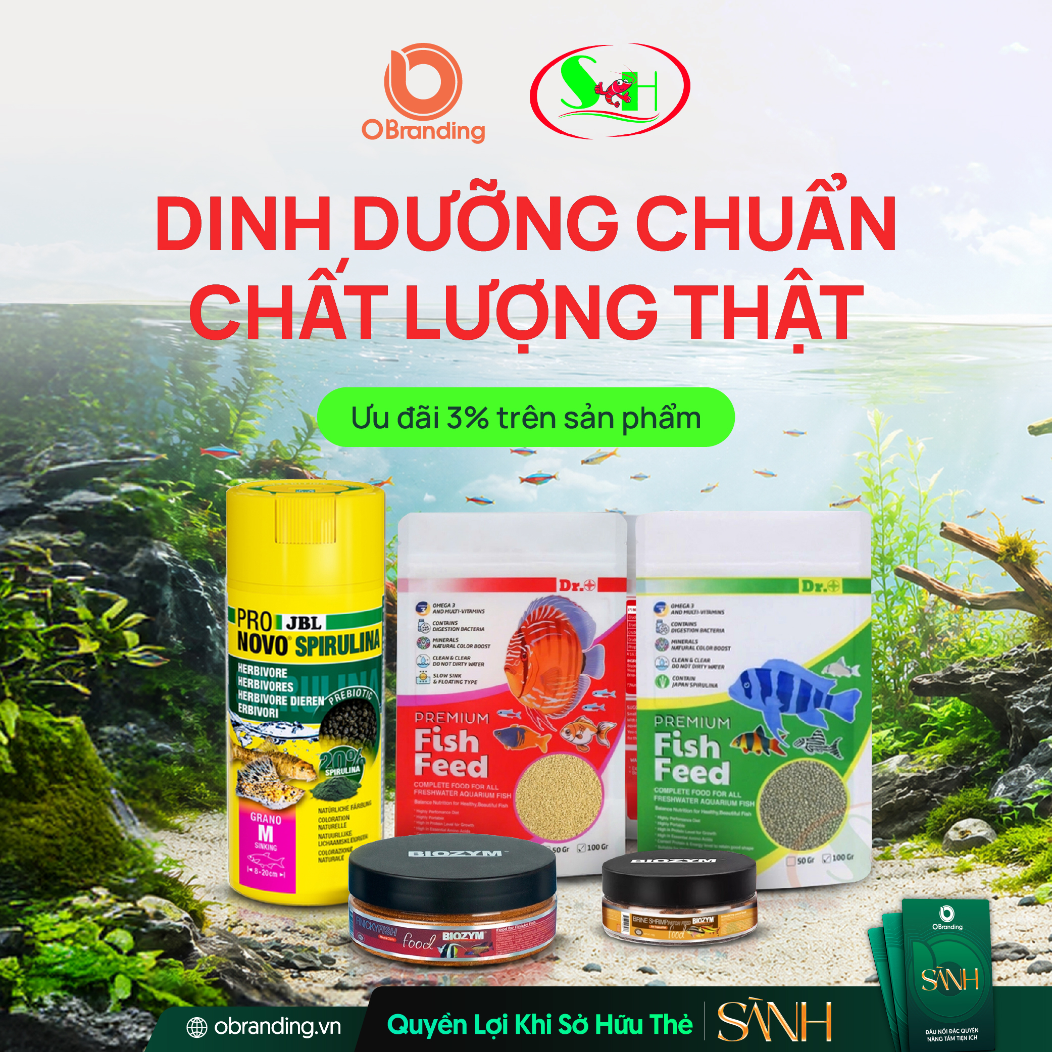 HỘ KINH DOANH SHRIMP HOME
