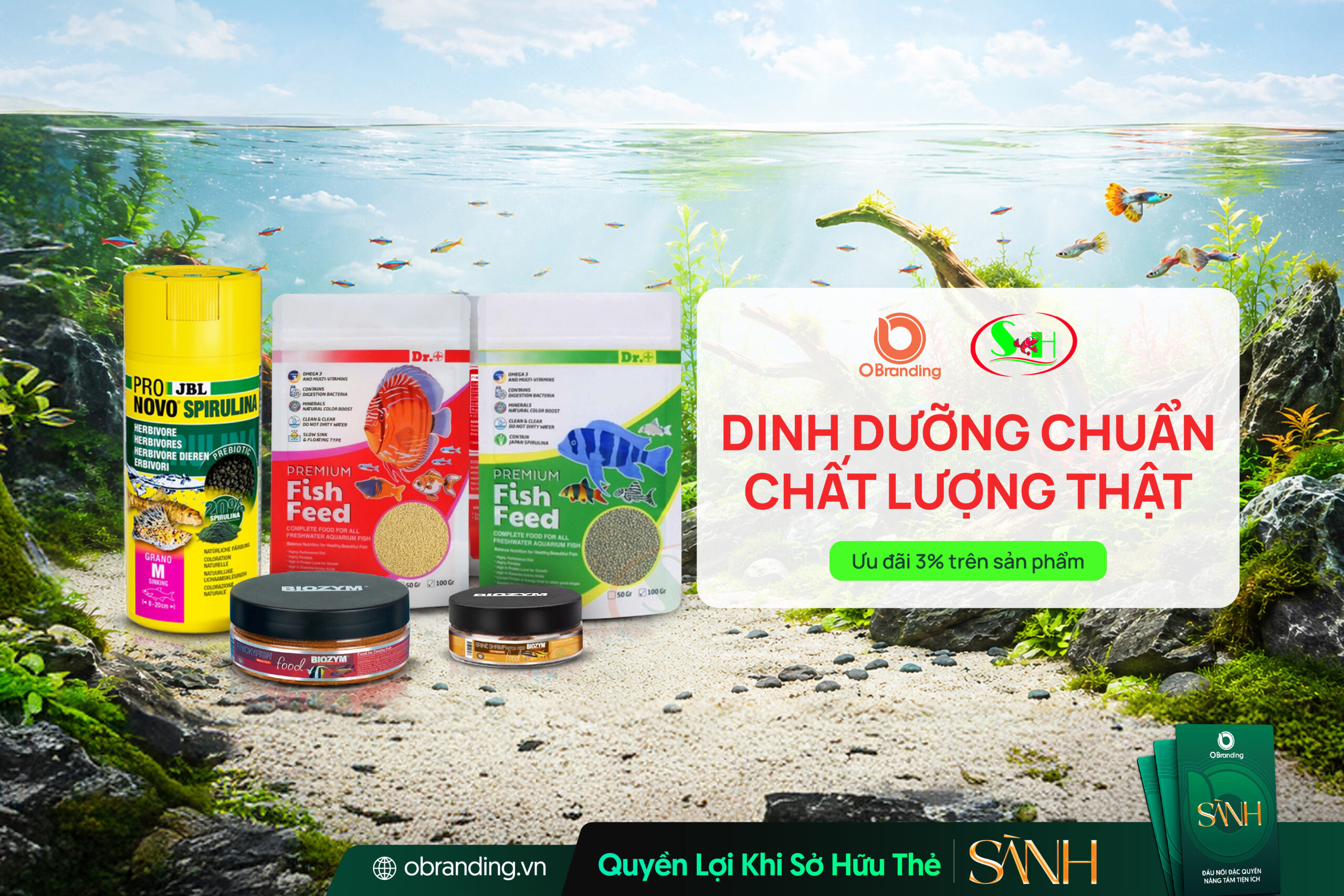 HỘ KINH DOANH SHRIMP HOME
