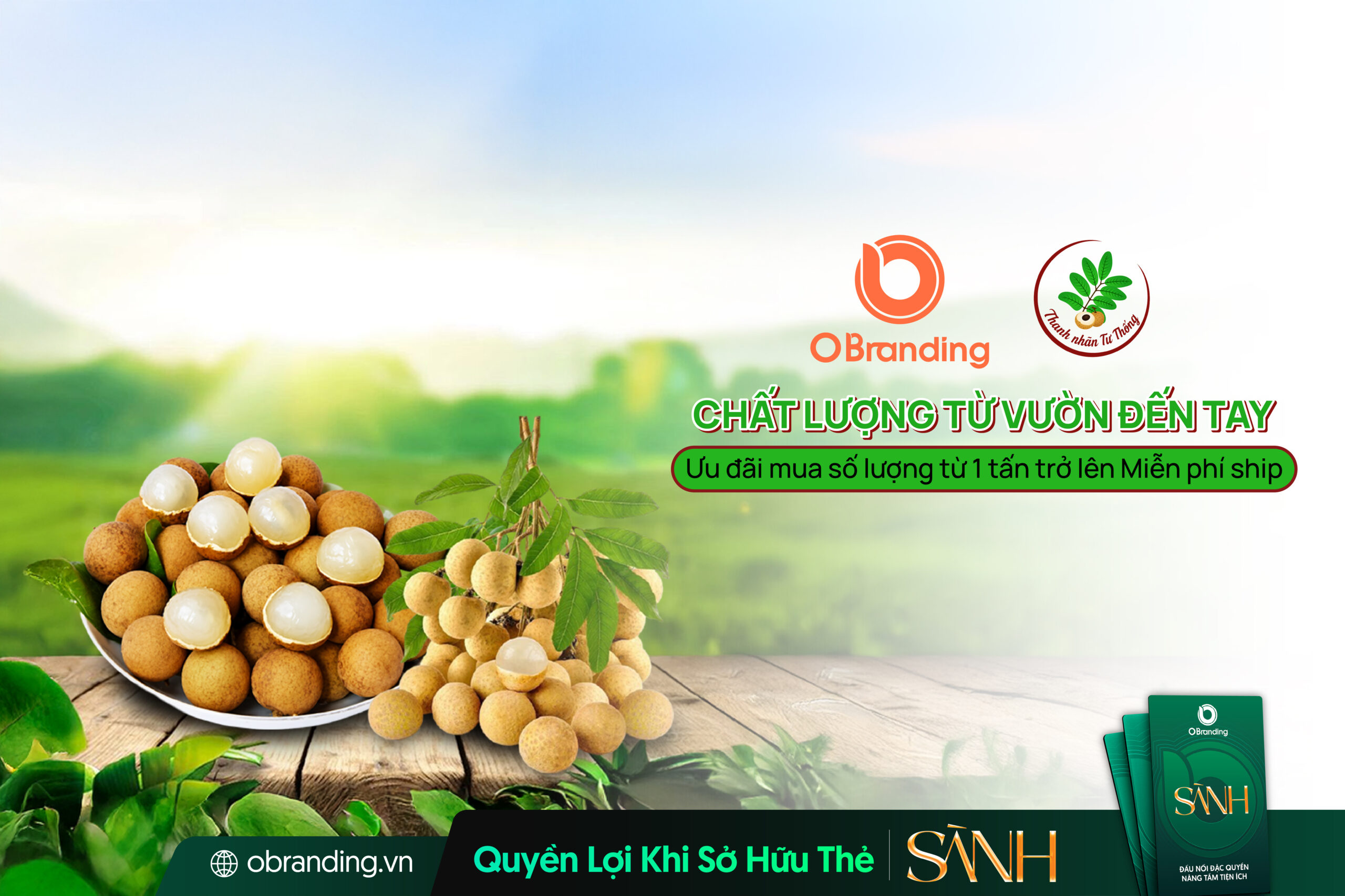 HỘ KINH DOANH THANH NHÃN TƯ THỐNG