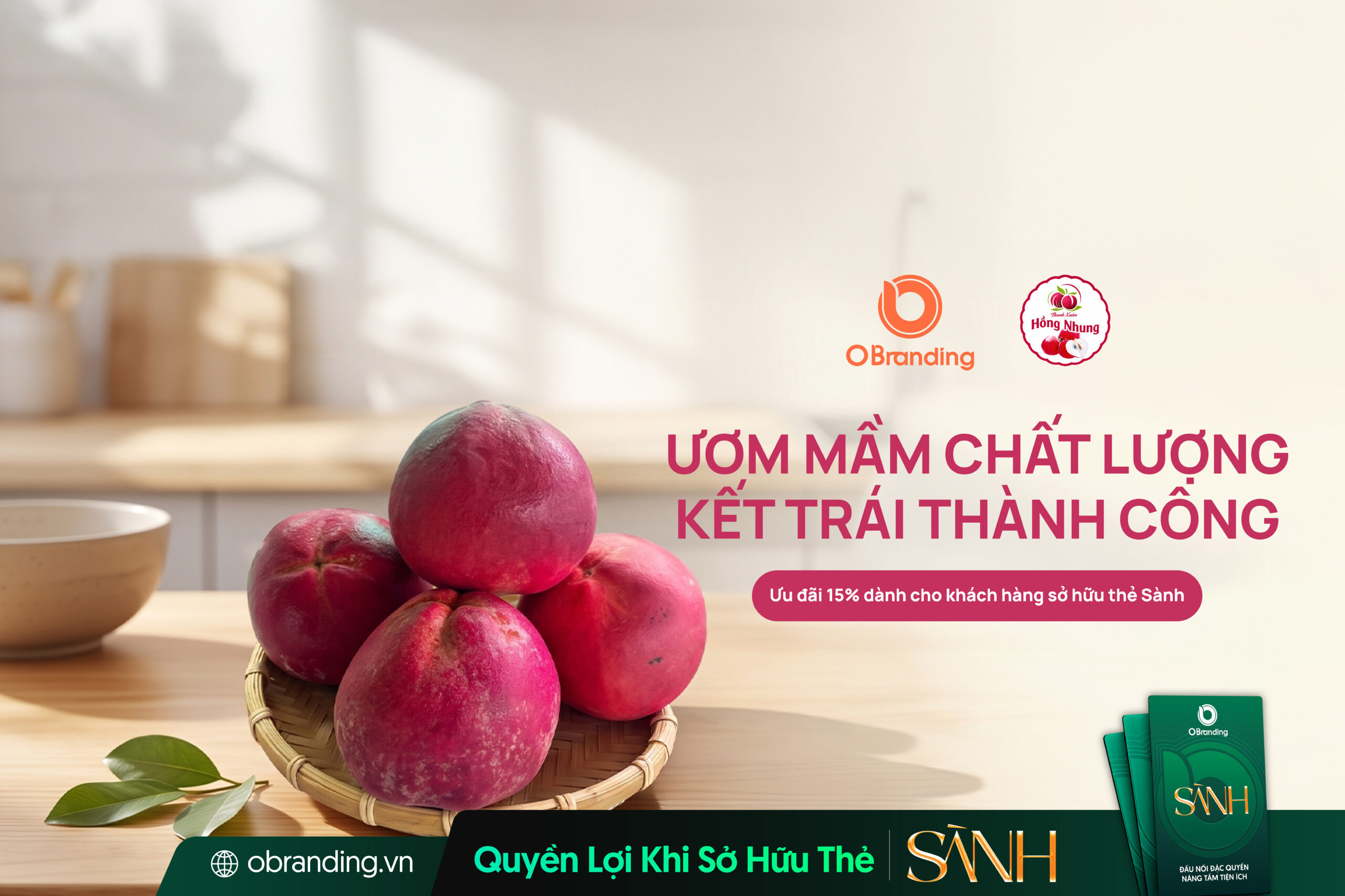 Hồng nhung Thanh Xuân - Trái cây và cây giống