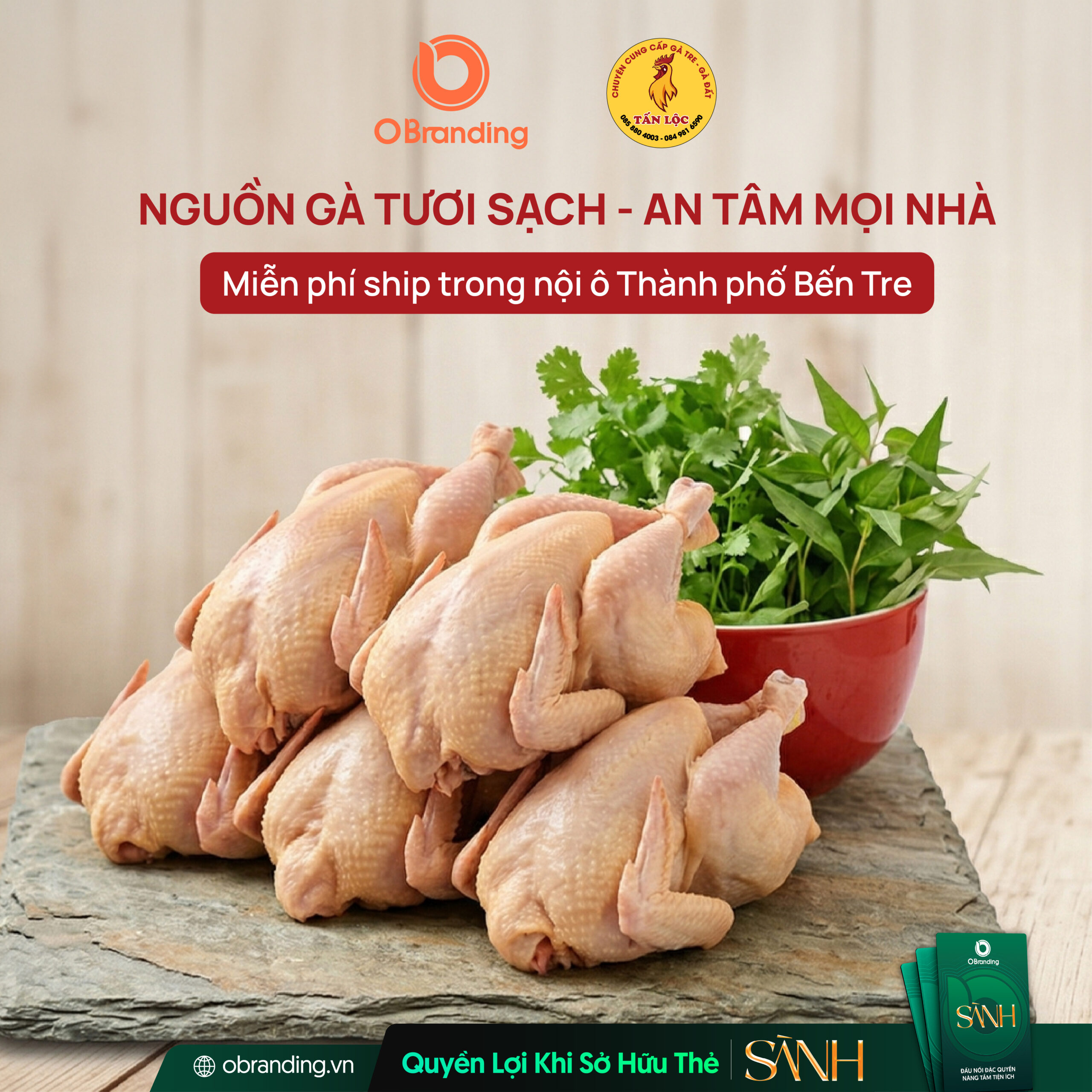 HỘ KINH DOANH TRÀNG TẤN LỘC