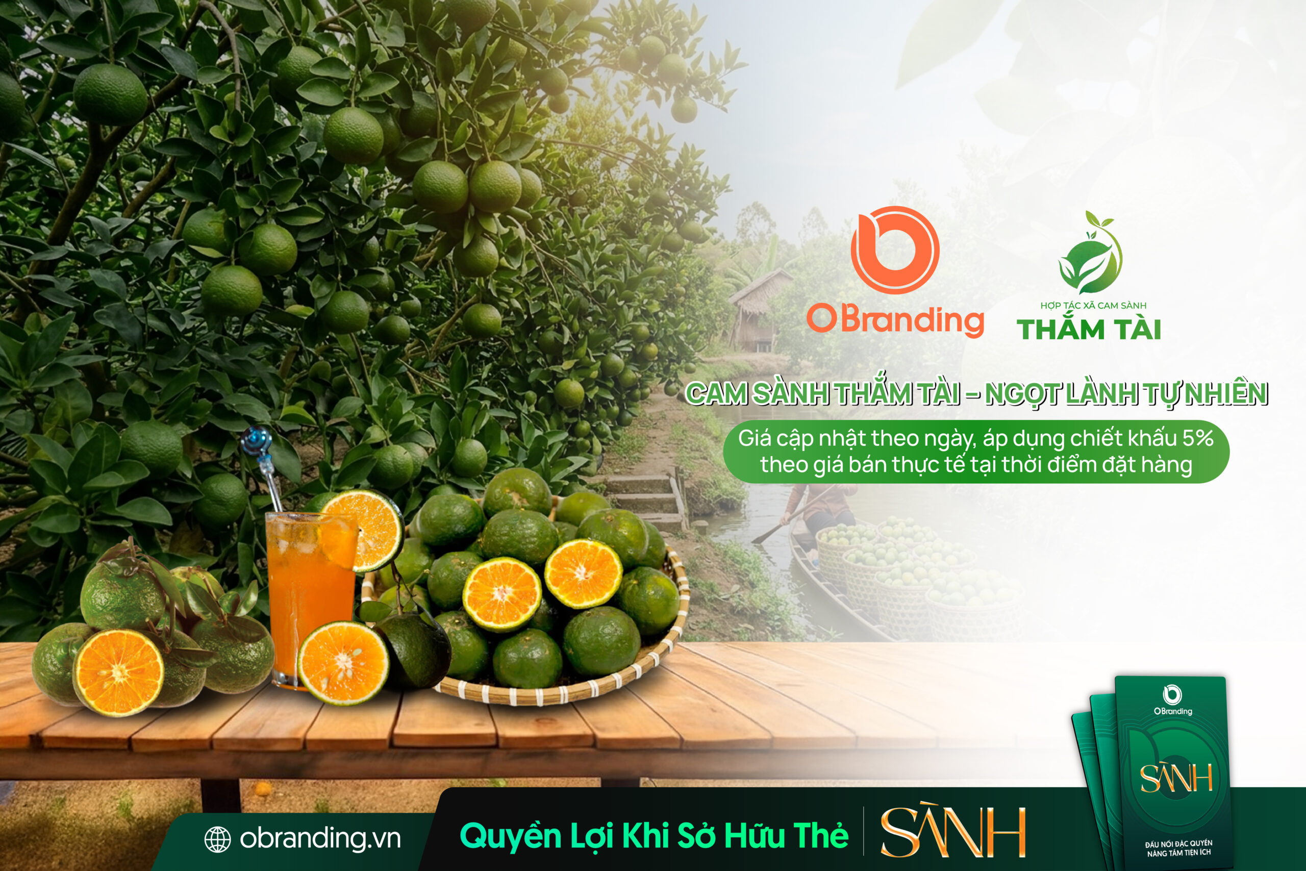 HỢP TÁC XÃ CAM SÀNH THẮM TÀI
