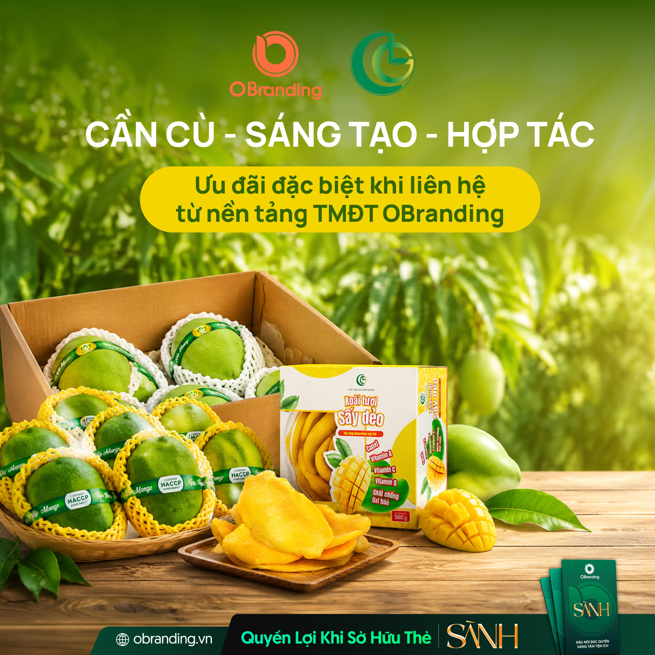 HỢP TÁC XÃ GAP CÙ LAO GIÊNG