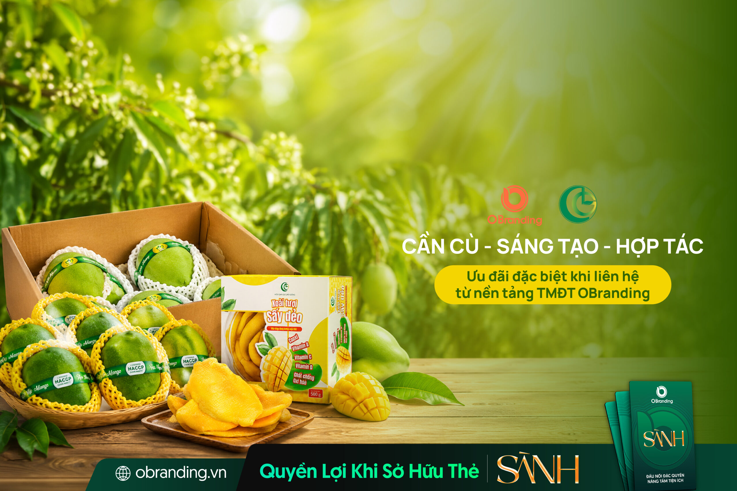 HỢP TÁC XÃ GAP CÙ LAO GIÊNG