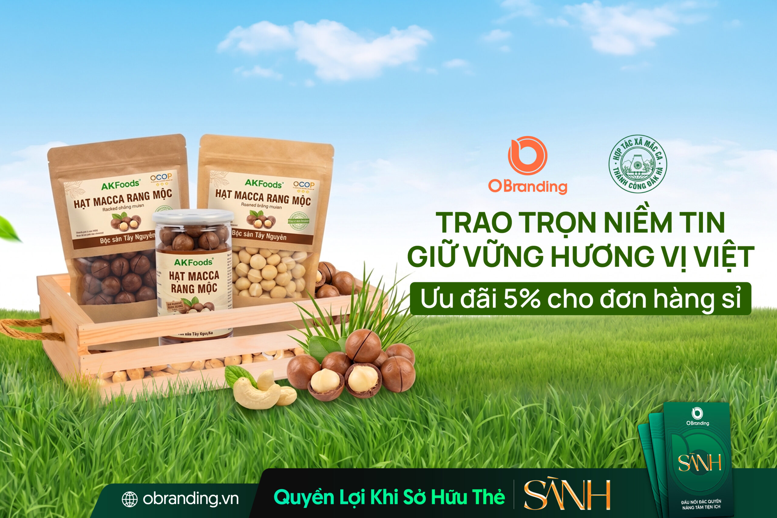 Mắc Ca Thành Công Đăk Hà