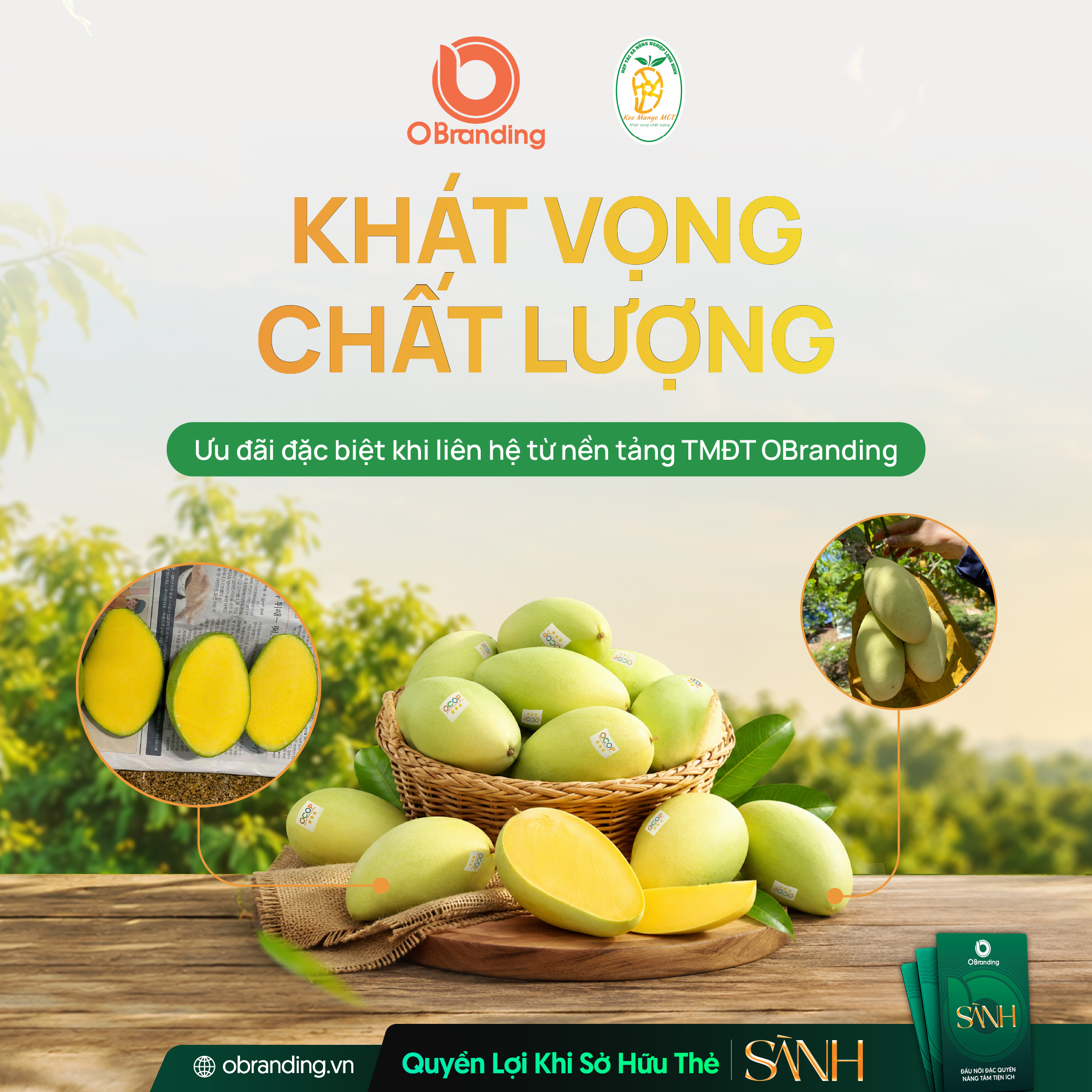 HỢP TÁC XÃ NÔNG NGHIỆP LONG BÌNH