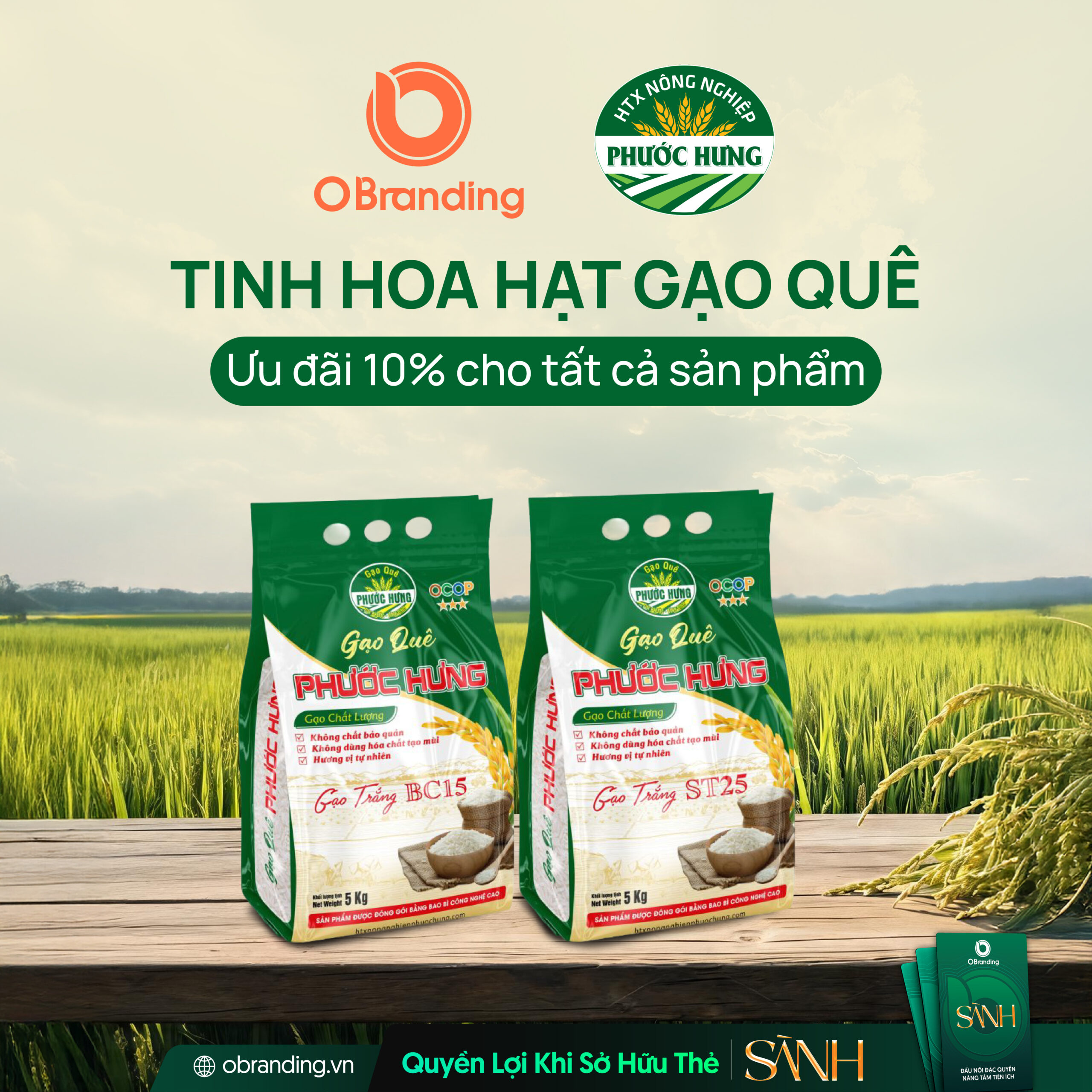 HỢP TÁC XÃ NÔNG NGHIỆP PHƯỚC HƯNG