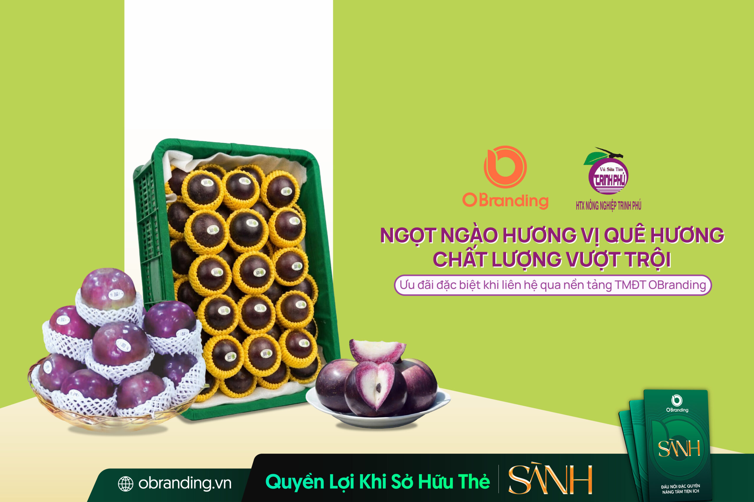 Trái Cây Tươi Trinh Phú