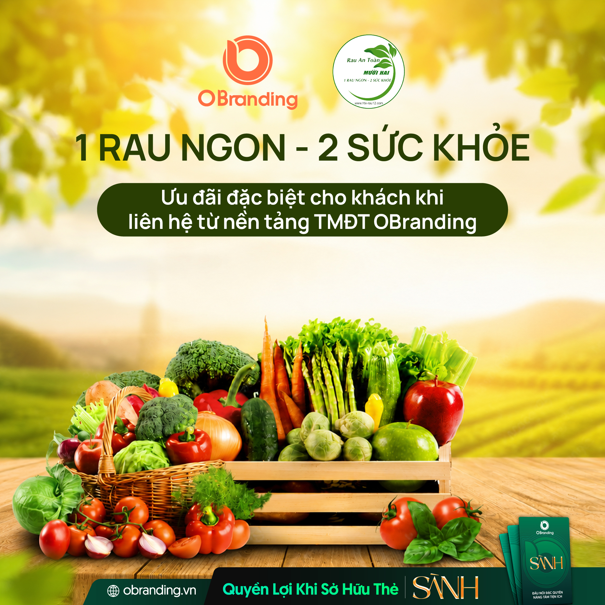 HỢP TÁC XÃ RAU AN TOÀN MƯỜI HAI