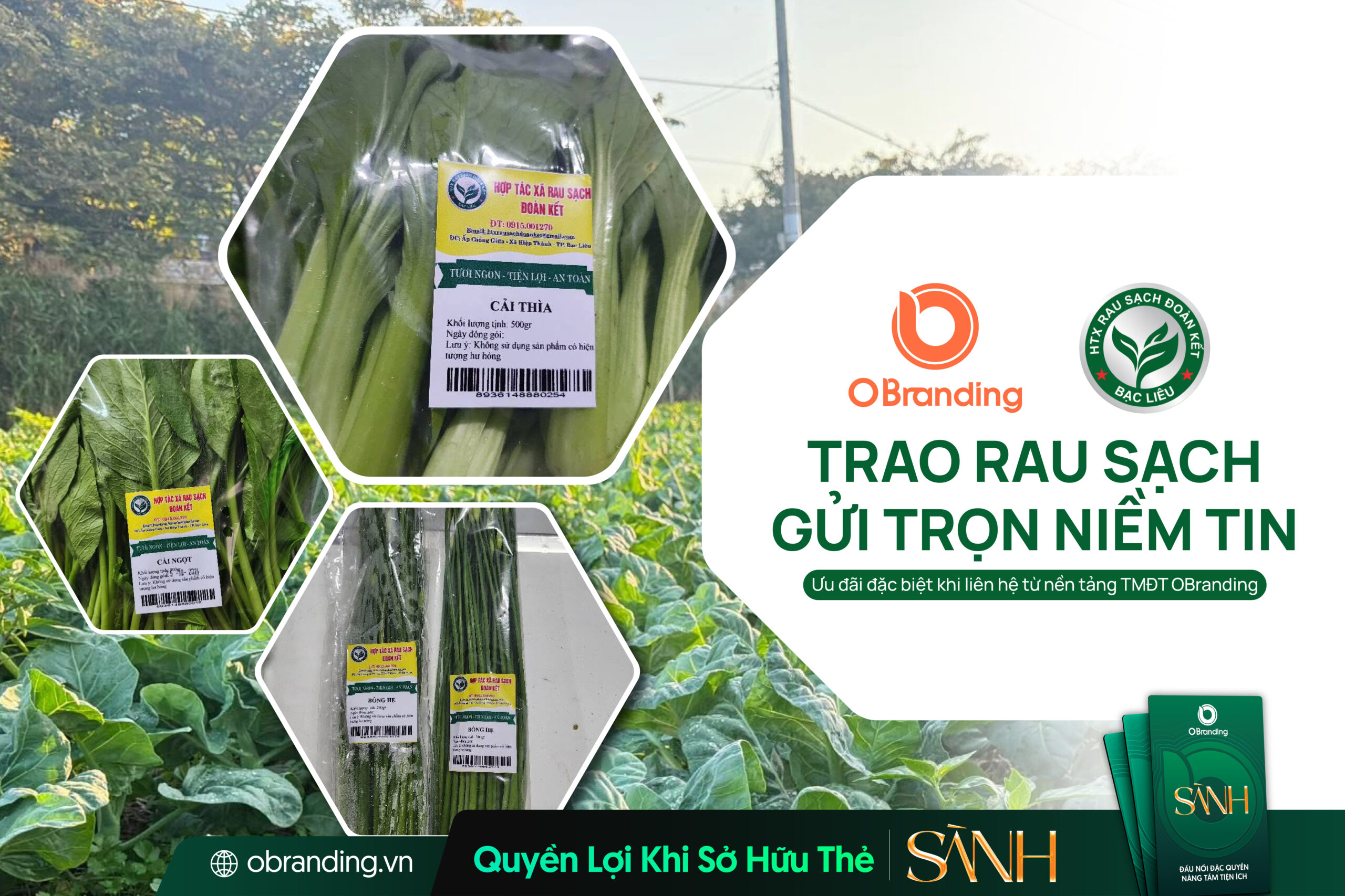 HỢP TÁC XÃ RAU SẠCH ĐOÀN KẾT